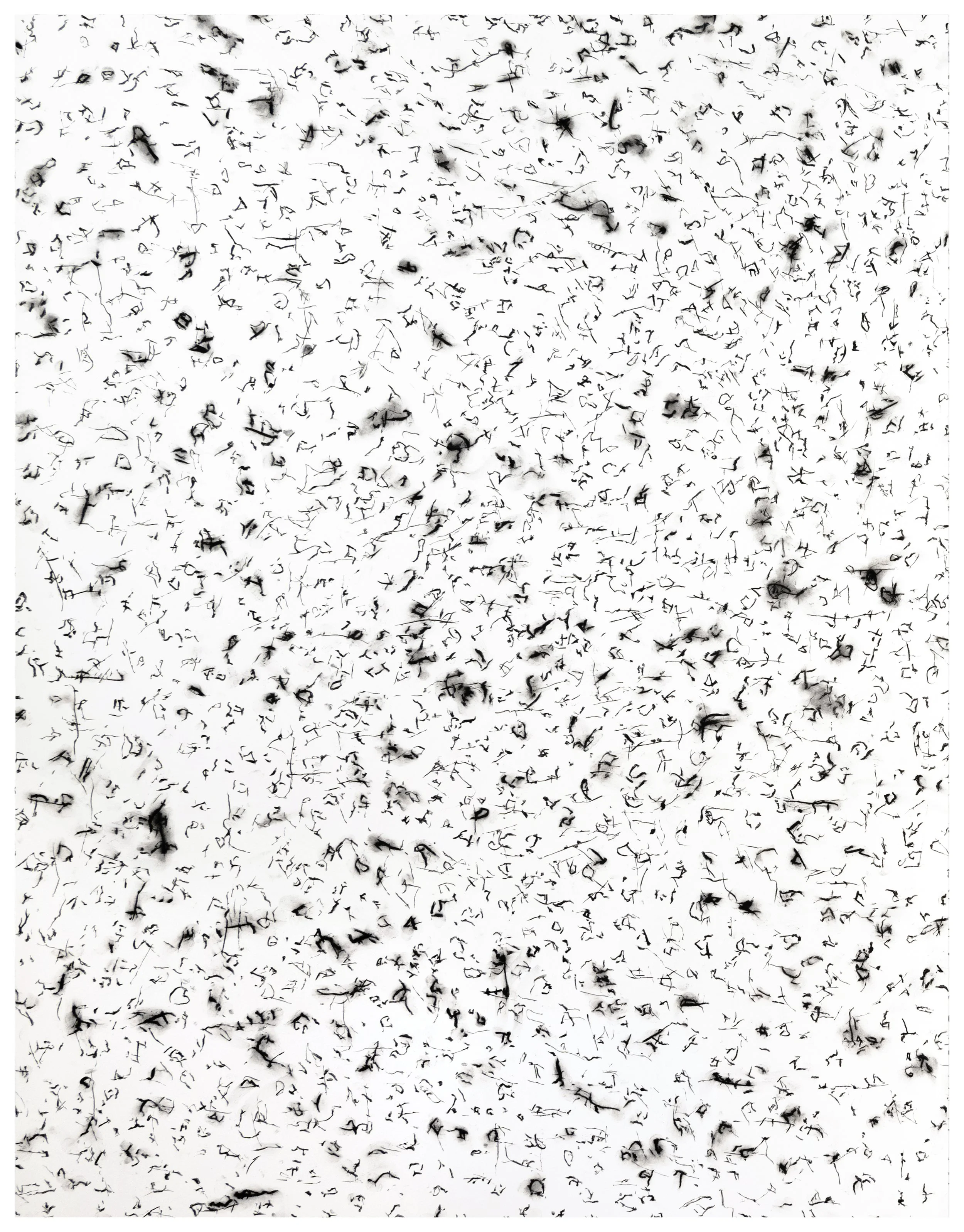 Nachbild_2_crop_border.jpg