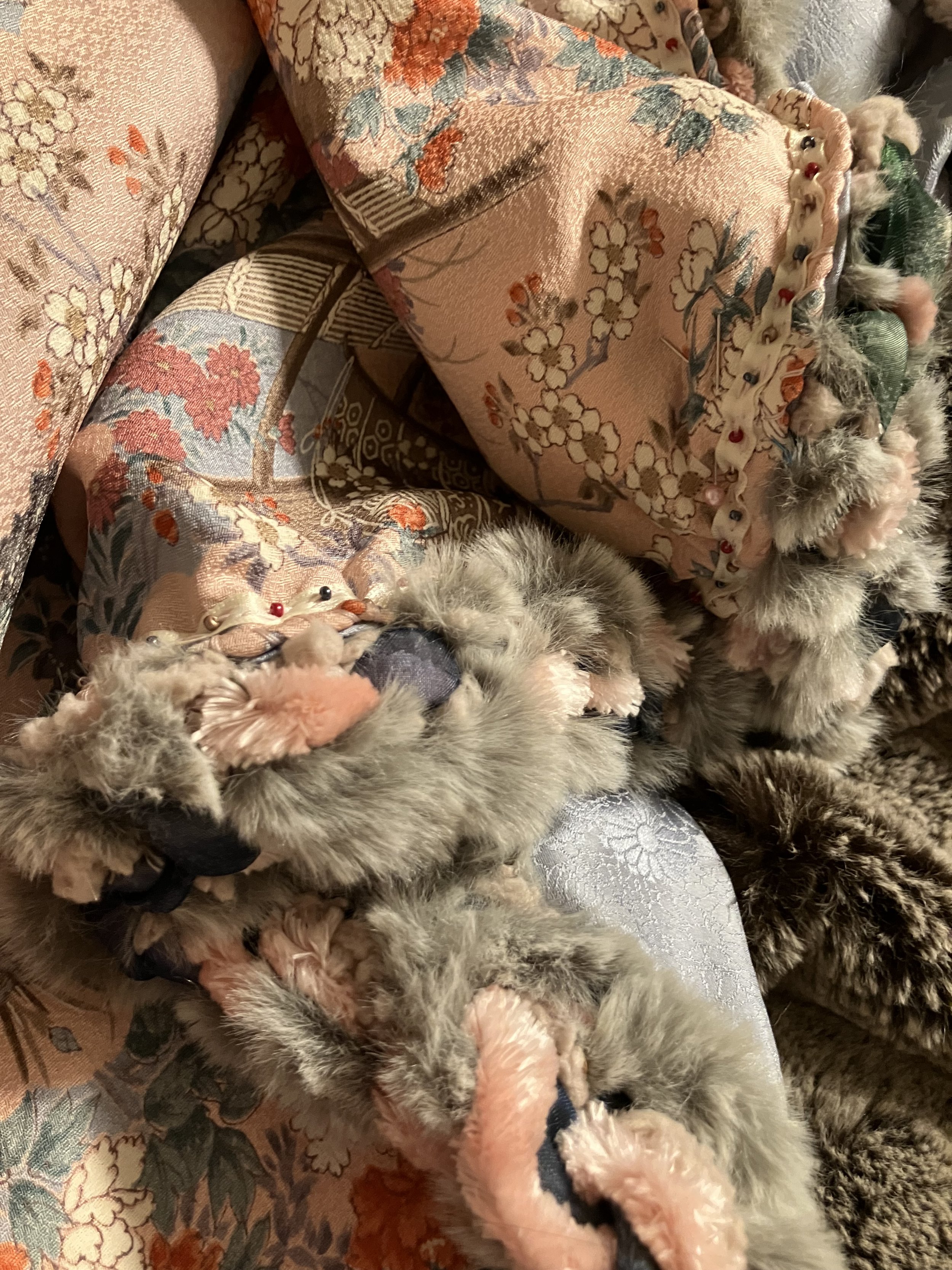 IMG_0725.jpeg