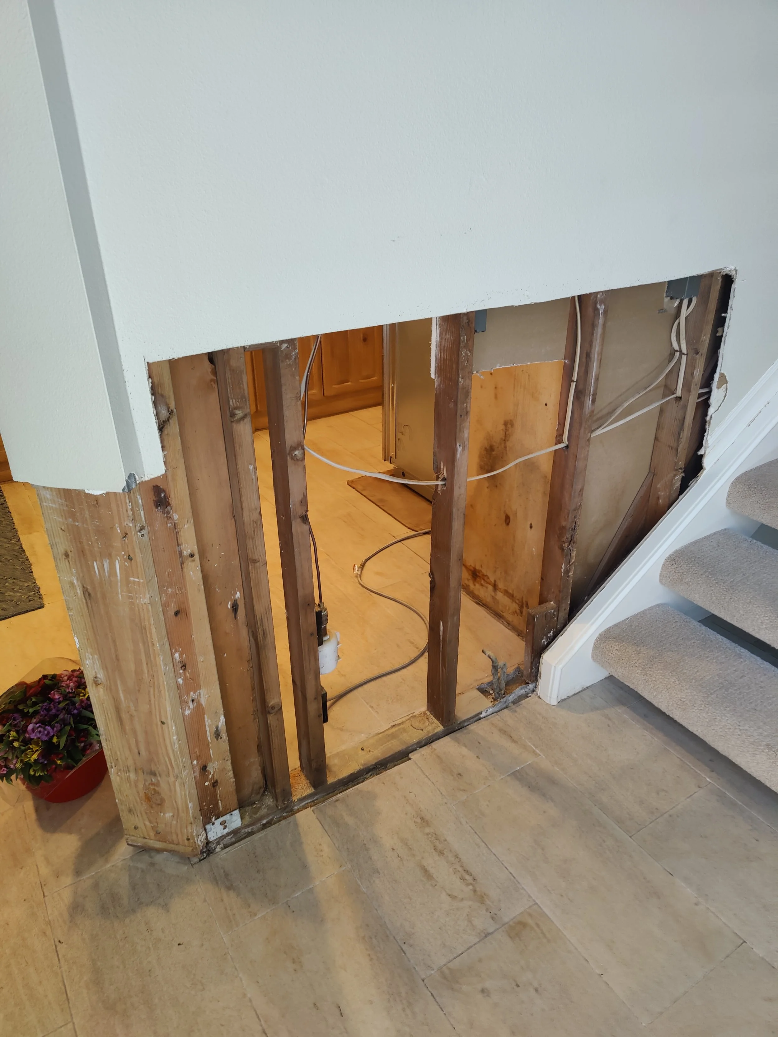 Undergoing wall renovation with exposed wooden framing and electrical wiring, near carpeted stairs and hardwood flooring, with a potted plant in the corner.