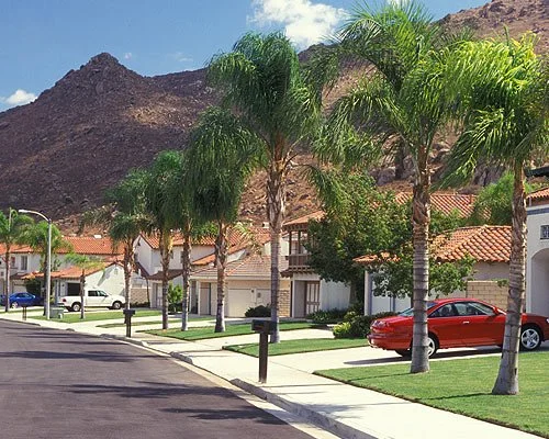 Suburban neighborhood with palm trees, single-story houses with tiled roofs, parked cars, and a mountain backdrop.
