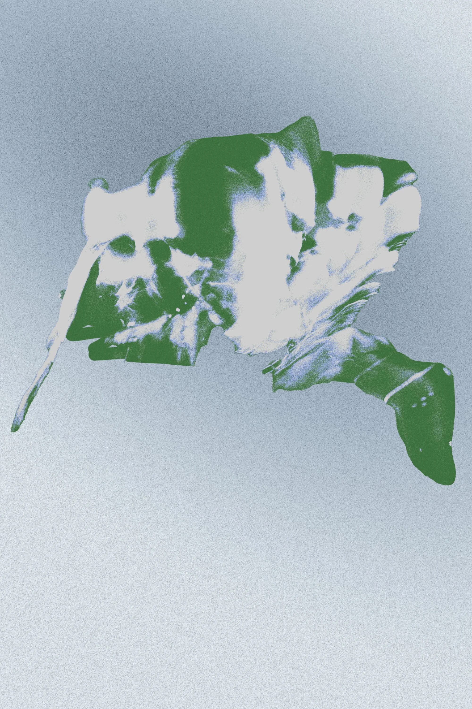 DJRUM6542 V3 copy.jpg