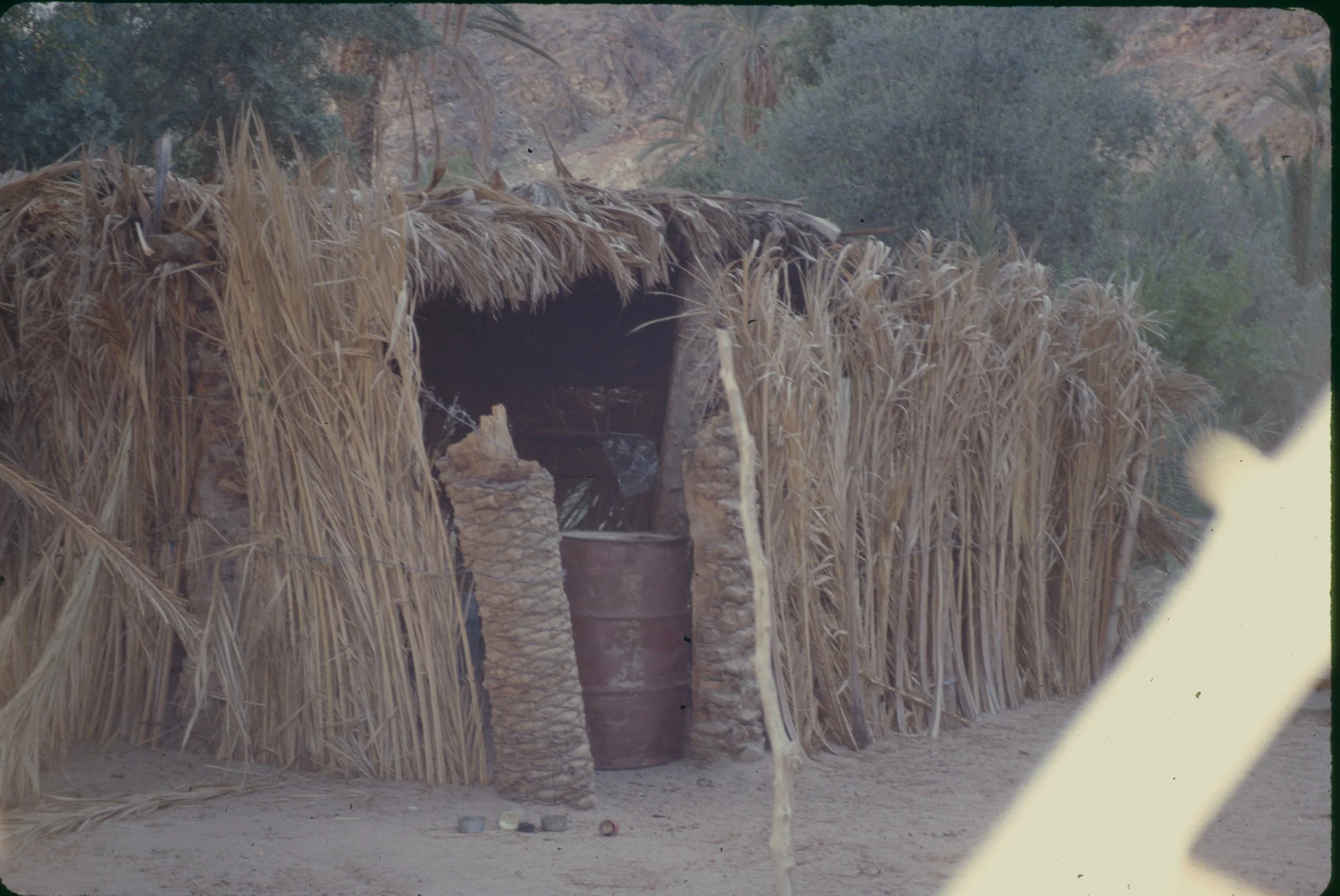 paulandcarreenegypt1997-17.JPG