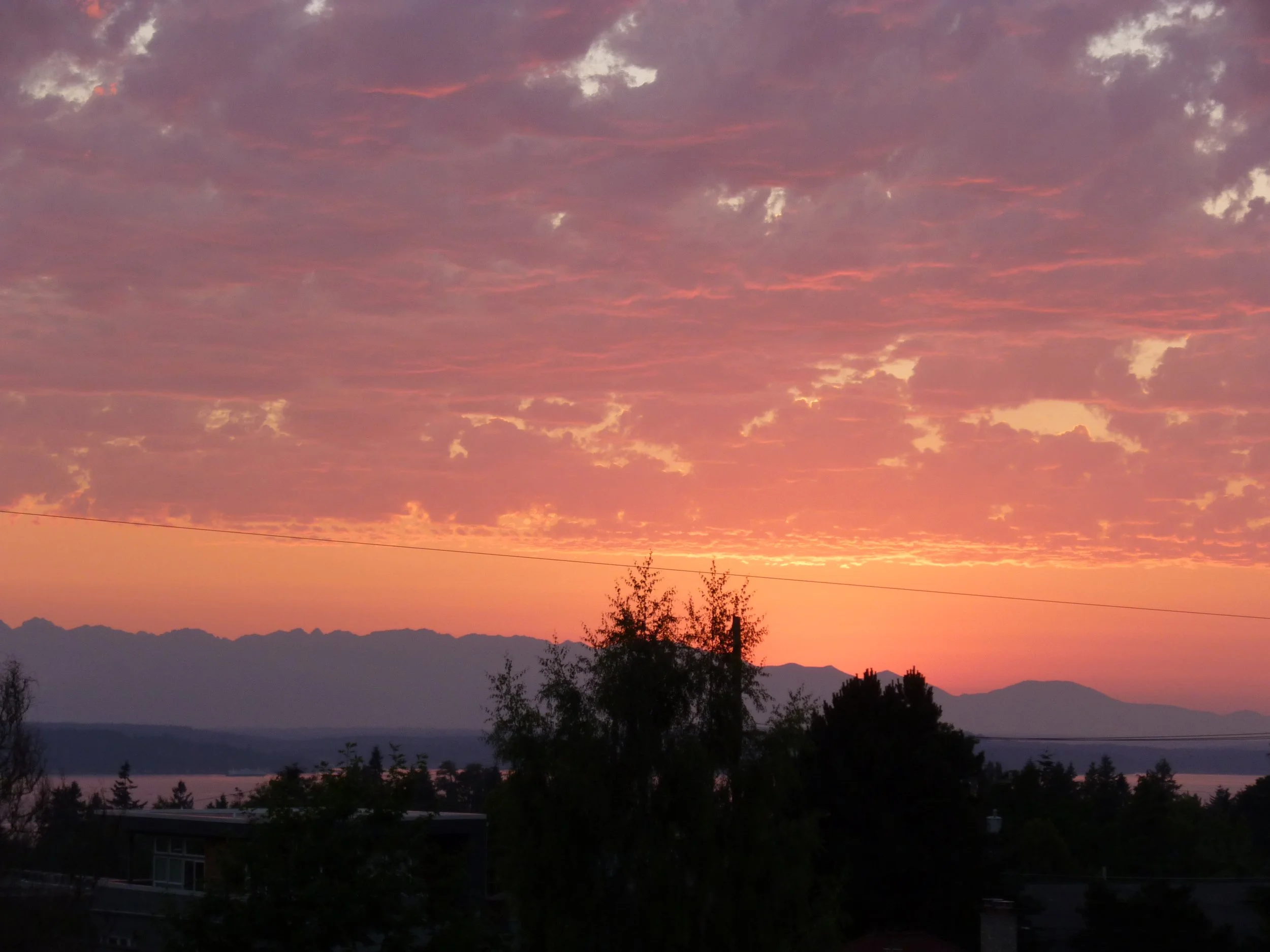 P1010200.JPG