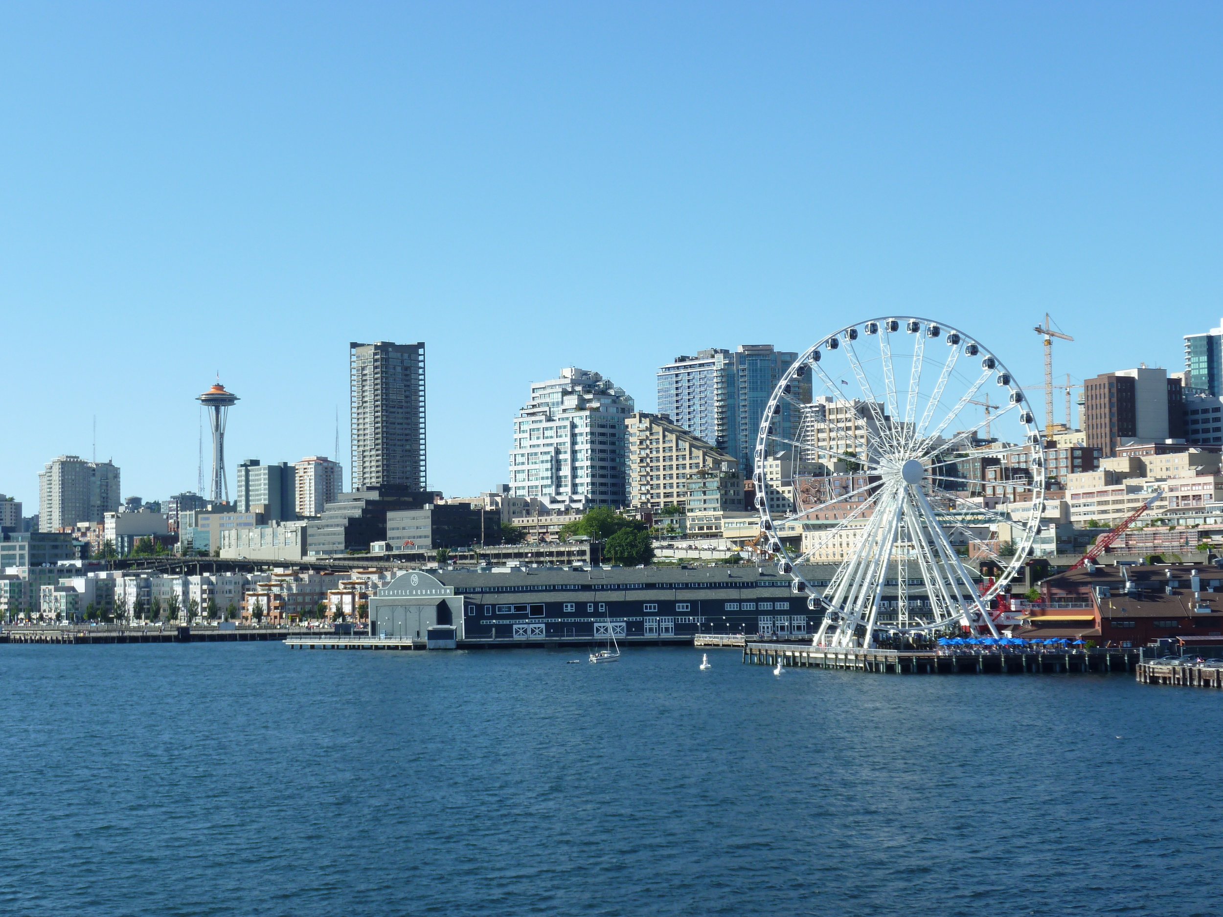 P1010157.JPG
