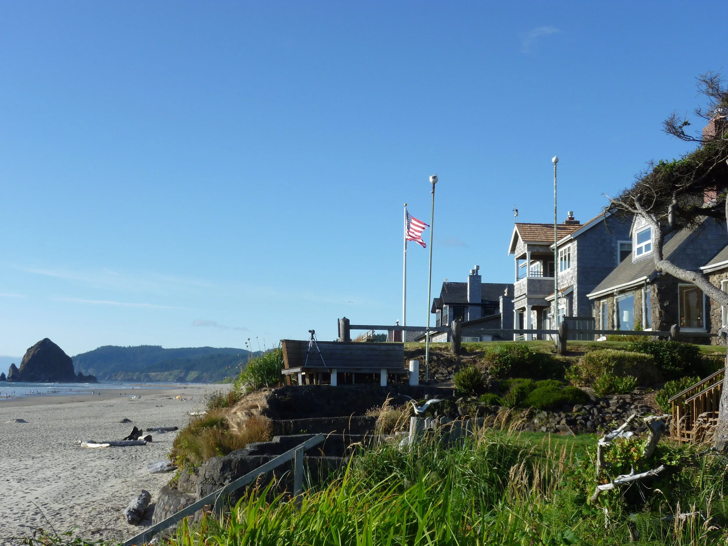 P1010226.JPG