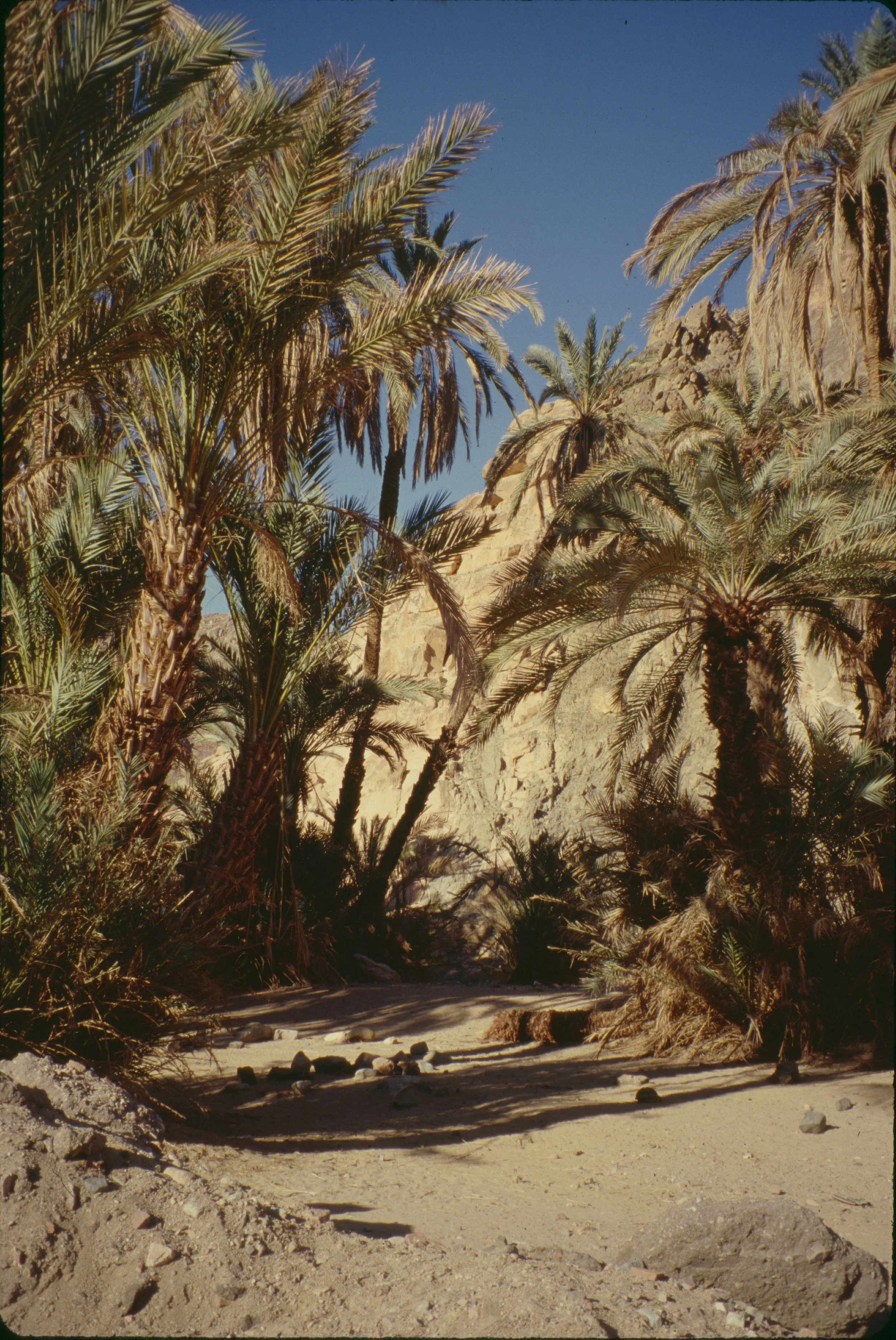 paulandcarreenegypt1997-20.JPG