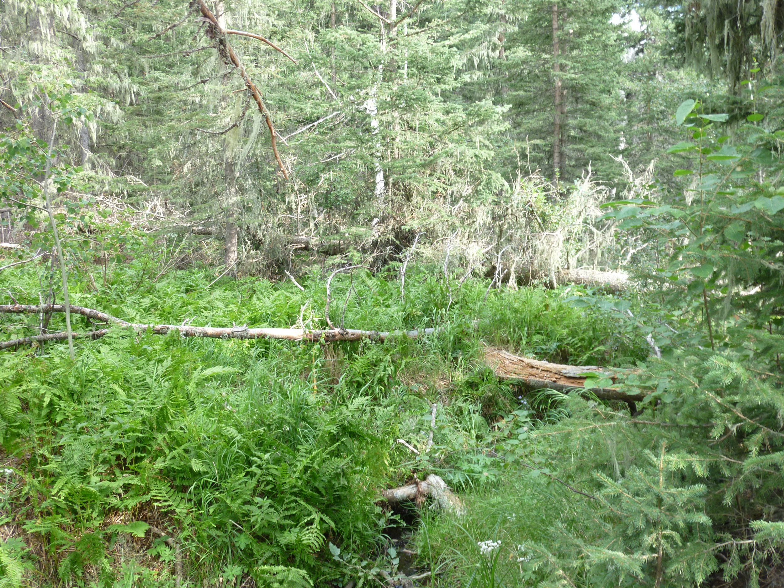 P1010304.JPG