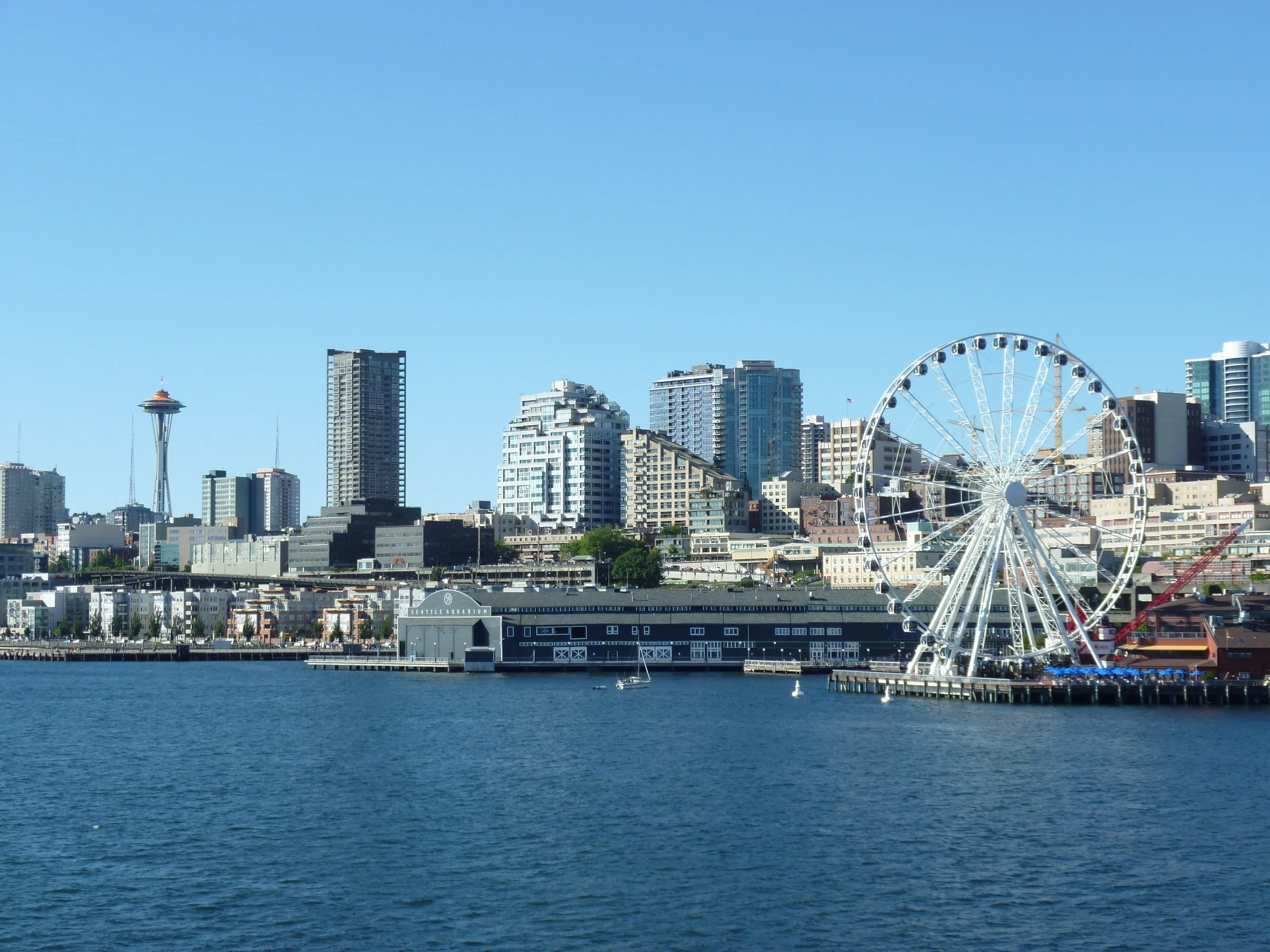 P1010156.JPG