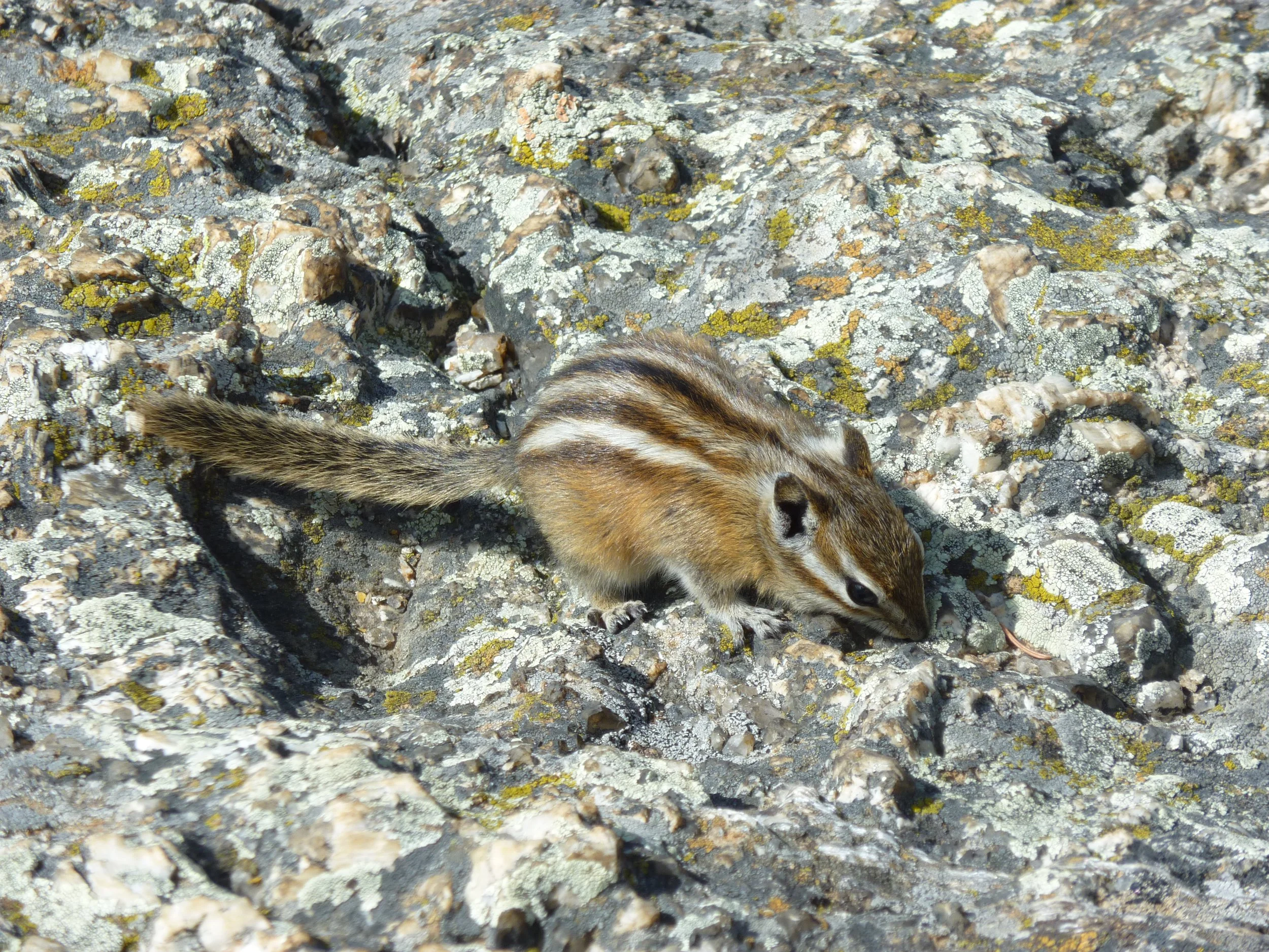 P1010290.JPG