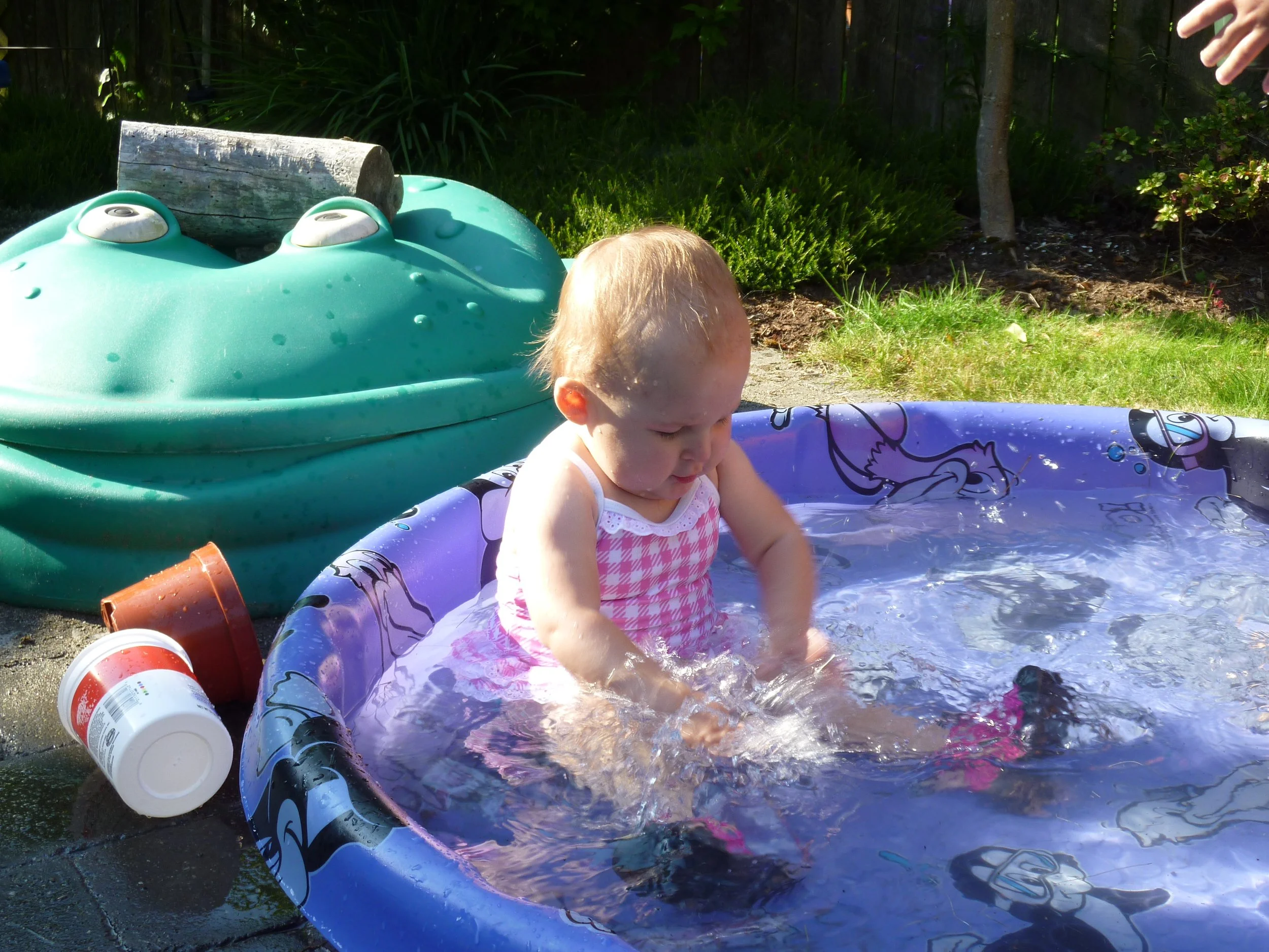 P1010189.JPG