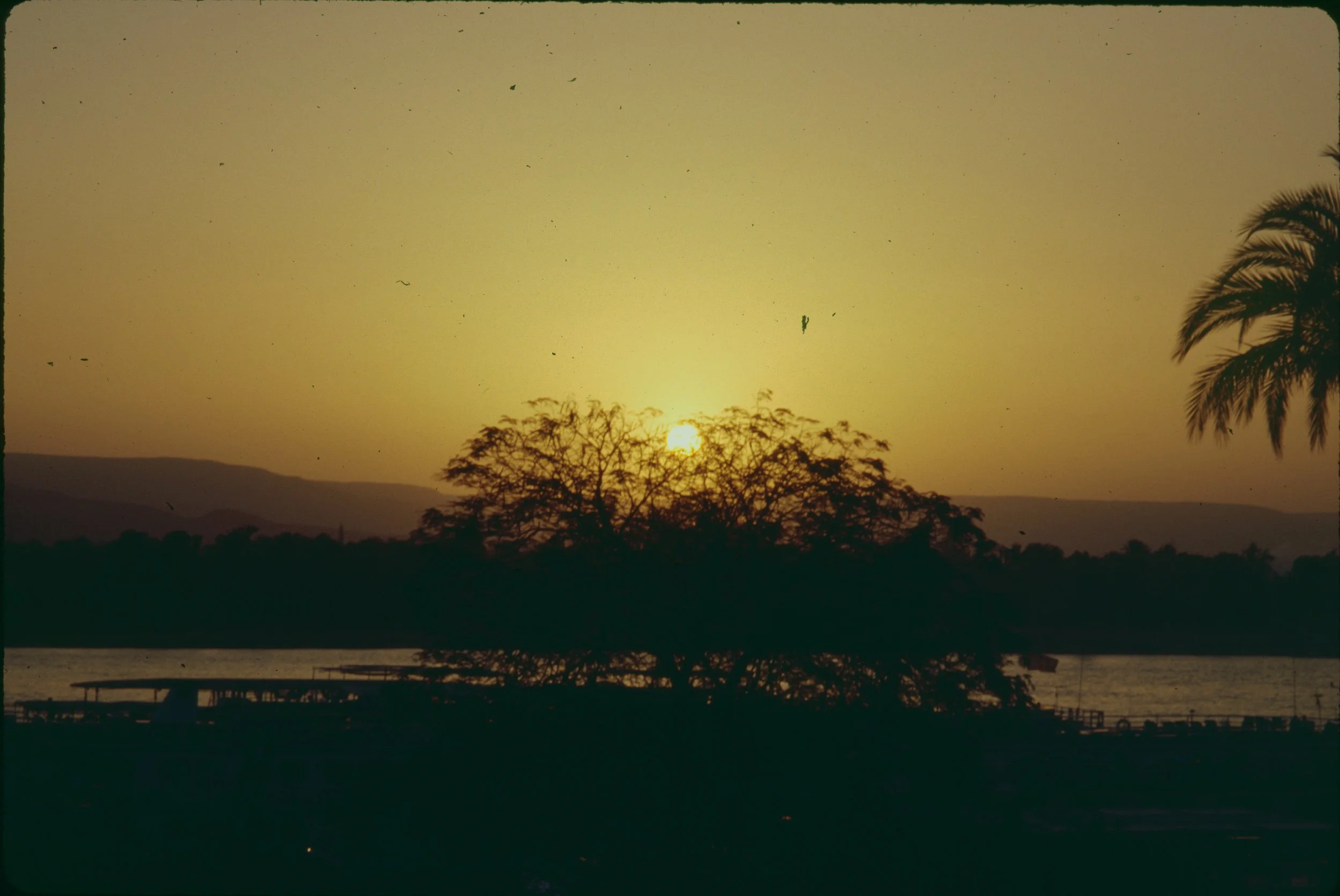 paulandcarreenegypt1997-56.JPG