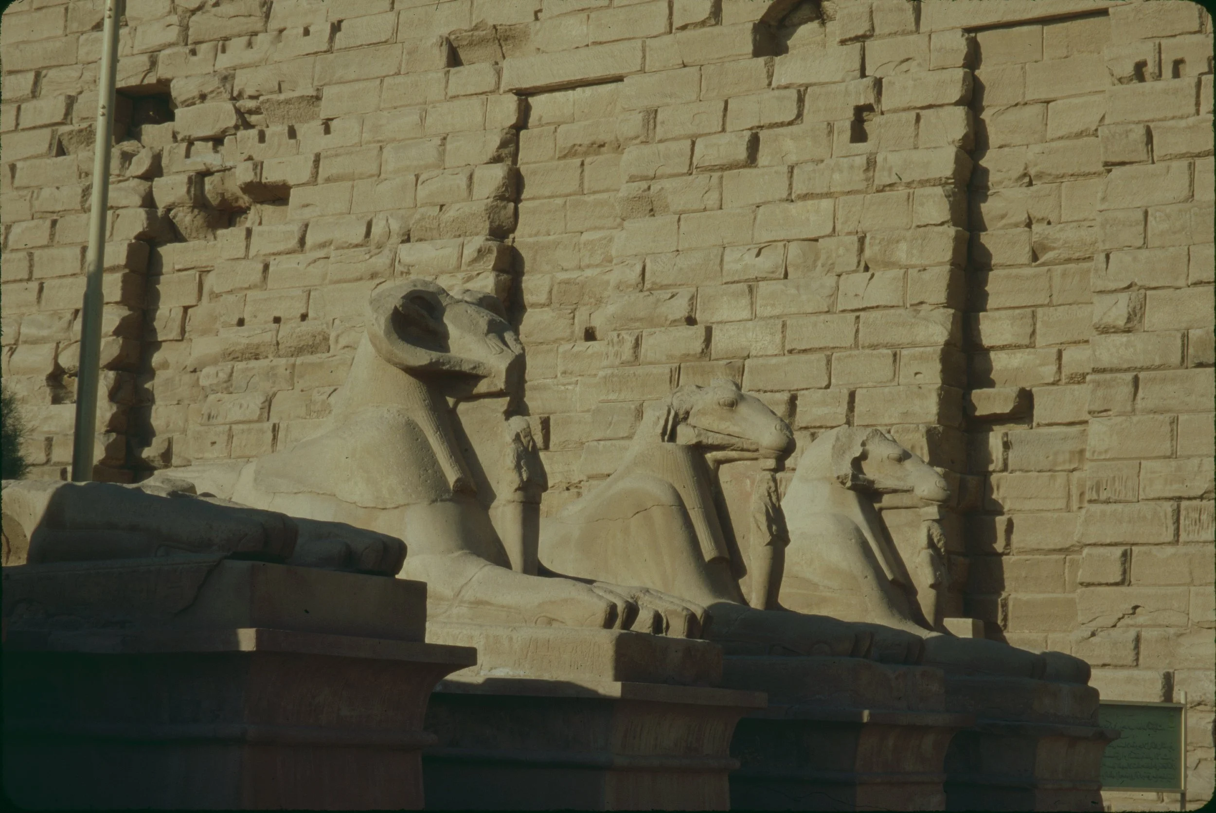 paulandcarreenegypt1997-54.JPG