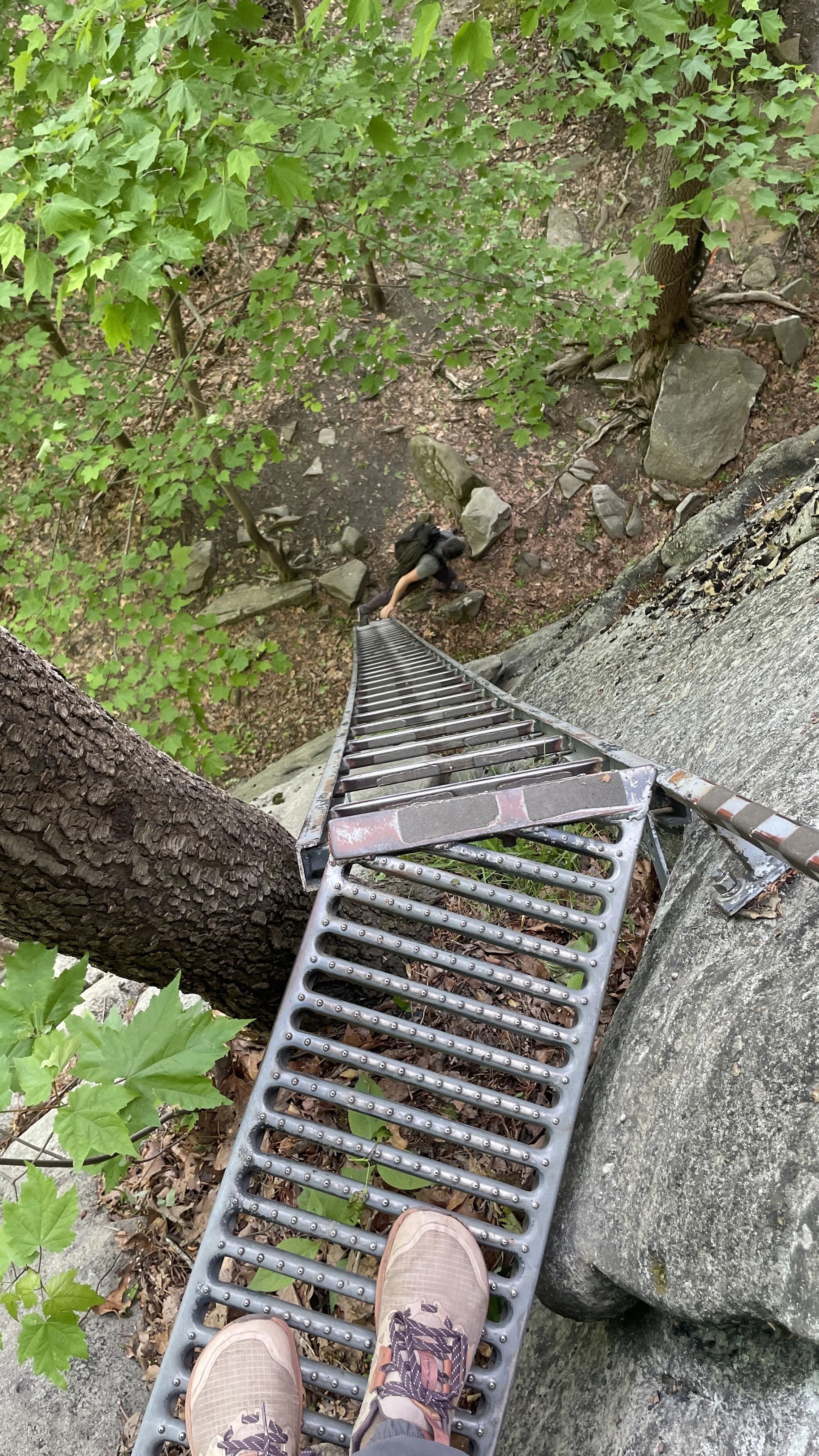 Approach ladder