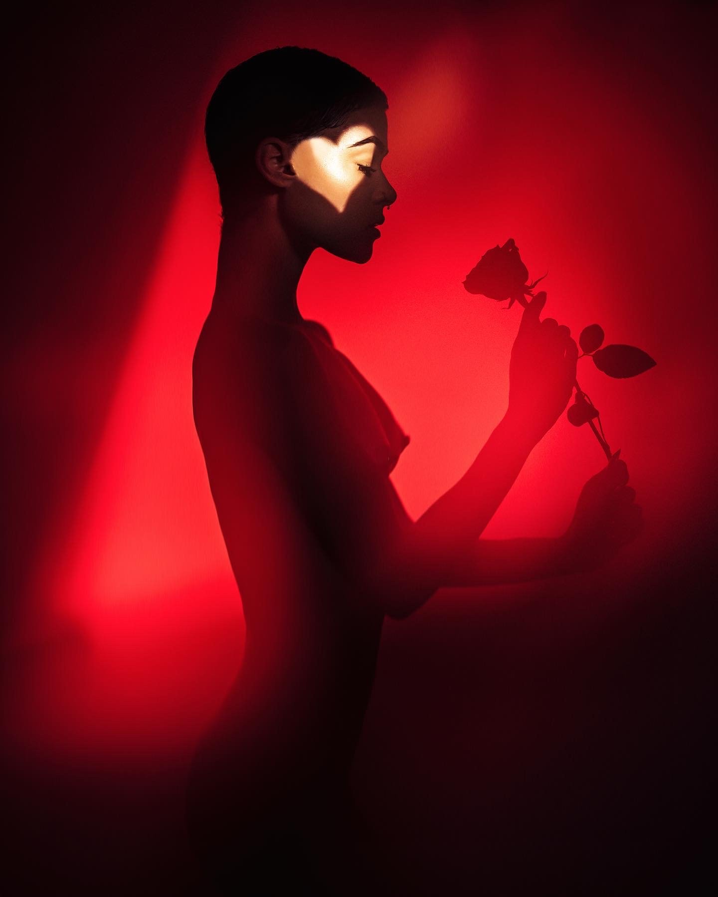 Partial Silhouette!