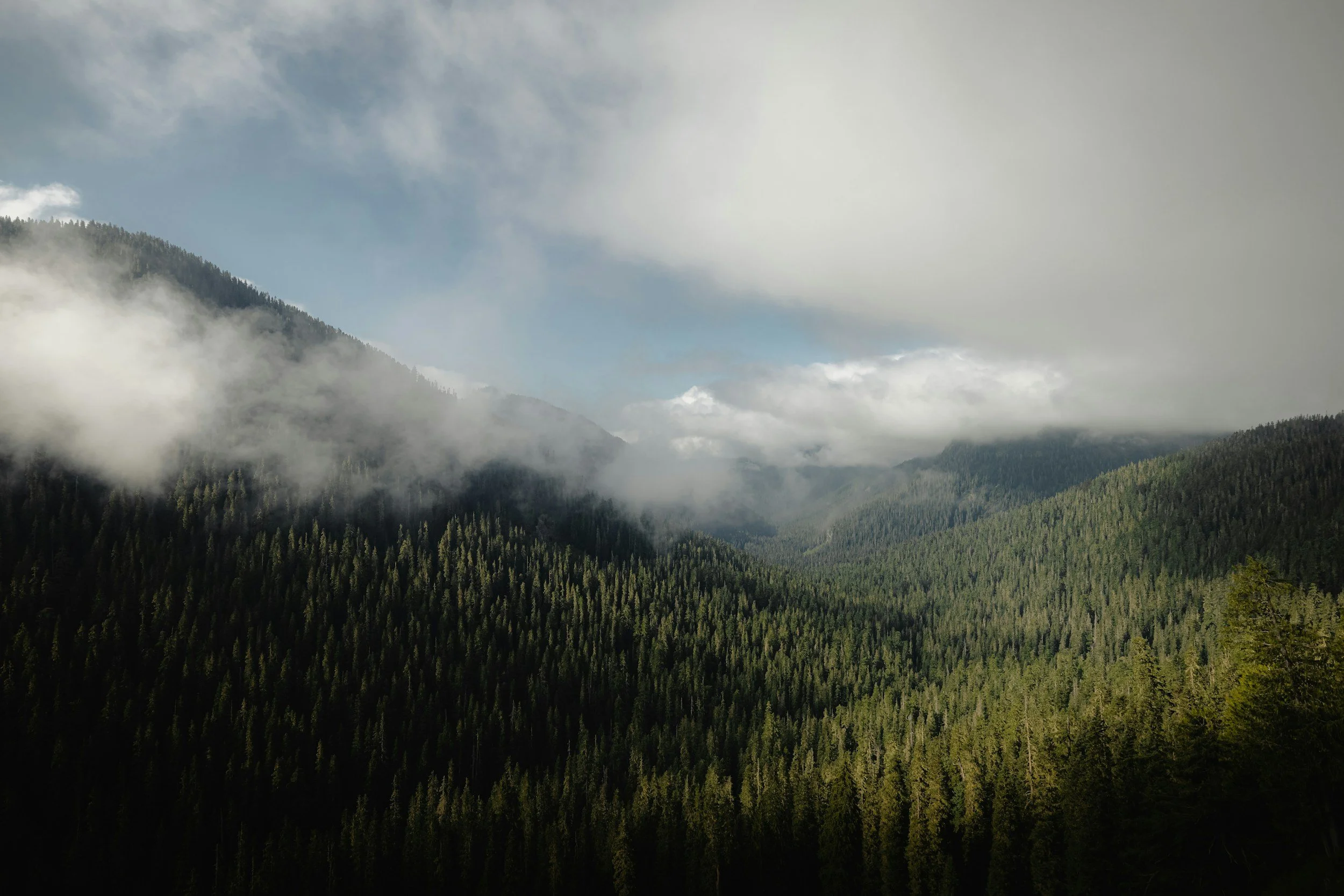 unsplash-image-RbNPl3bHnUY.jpg