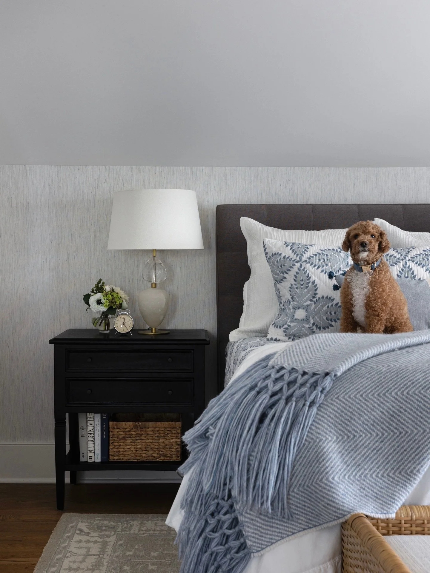 My little baby bear is NINE today! Please enjoy this compilation of his best posing, hairdo, outfits and cuteness. Happy birthday, Mishka!!