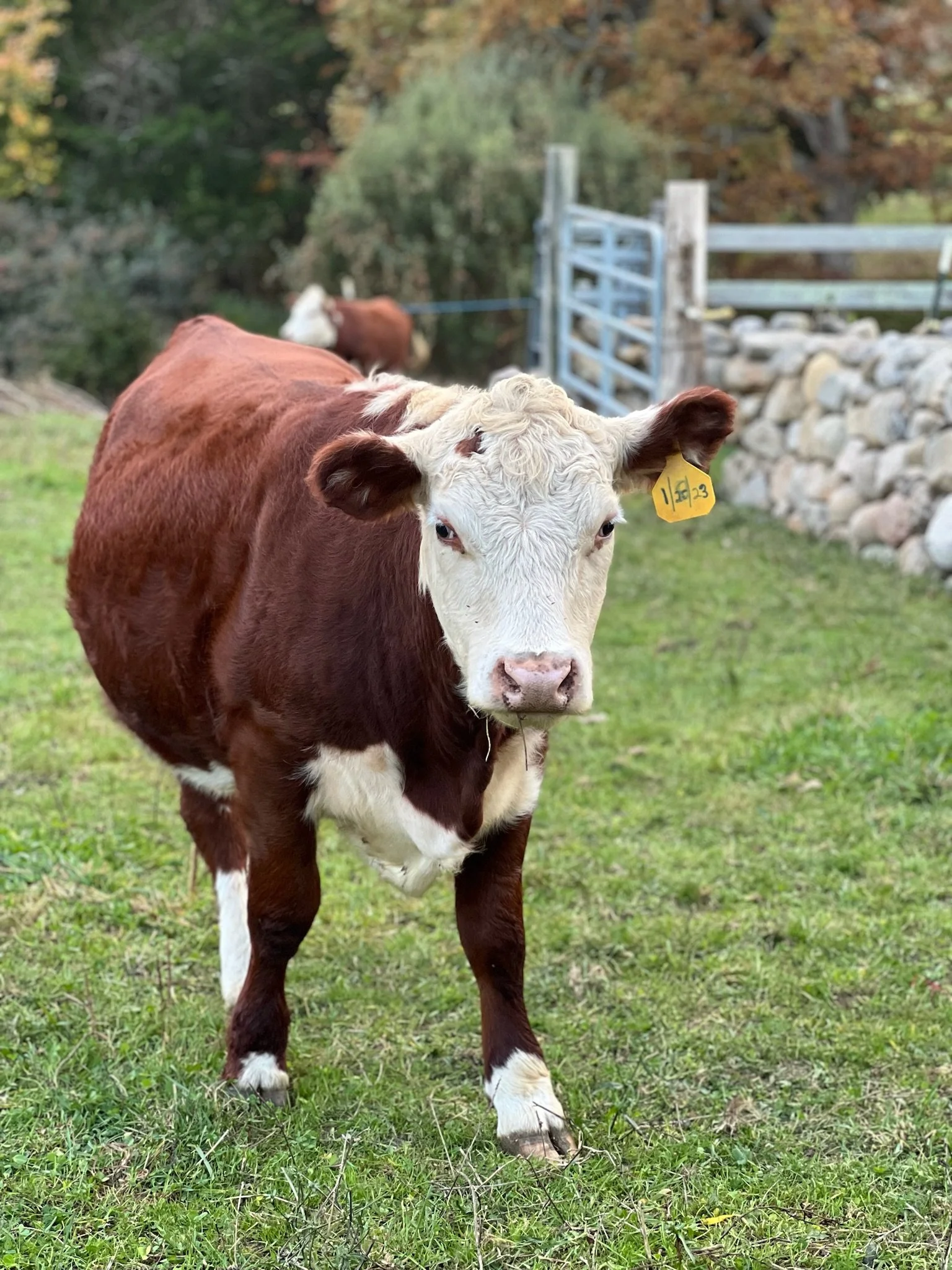 Home Page Header.jpeg