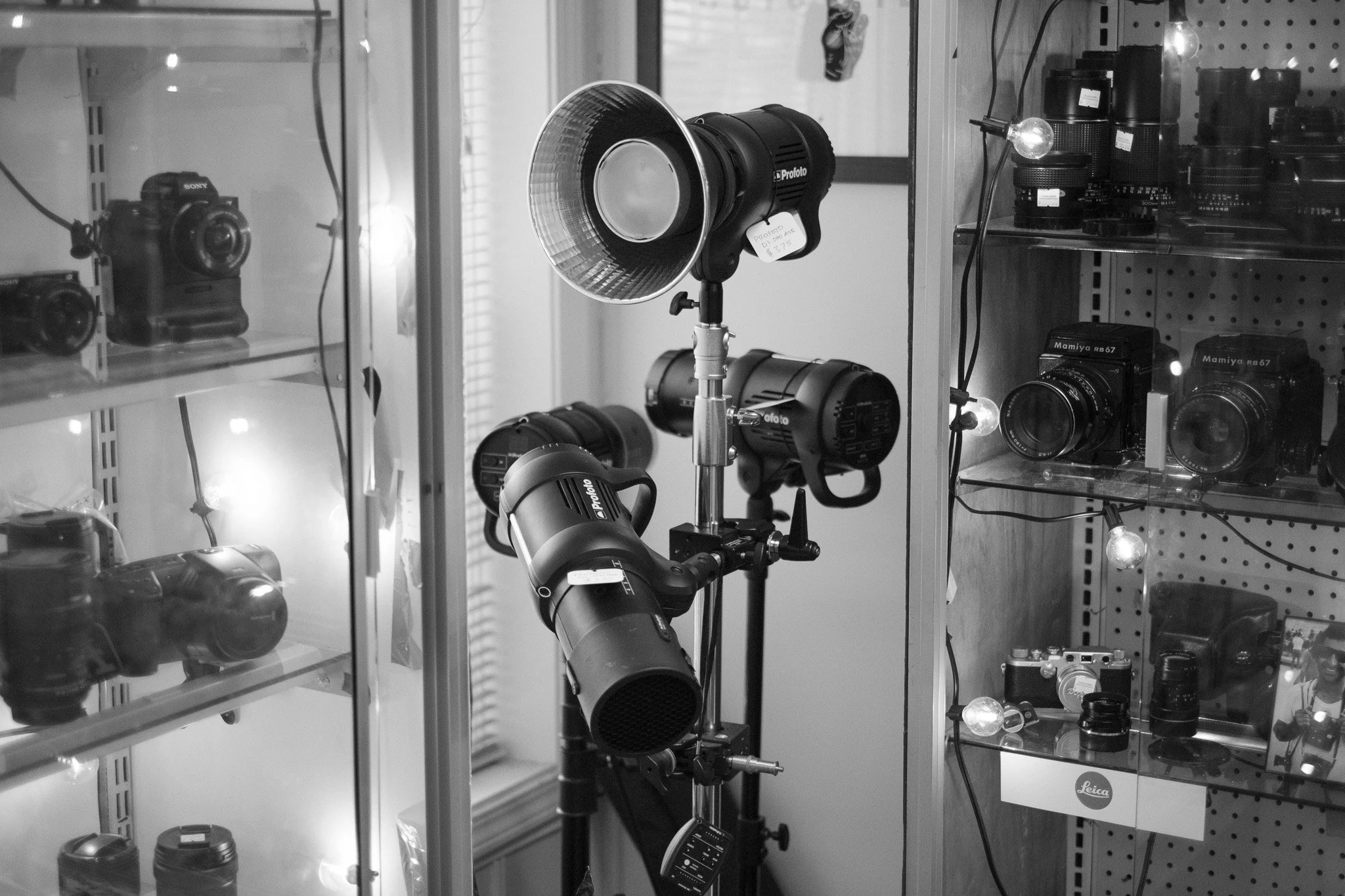 Display case with cameras and camera lenses, studio lights on stands, and photo equipment.
