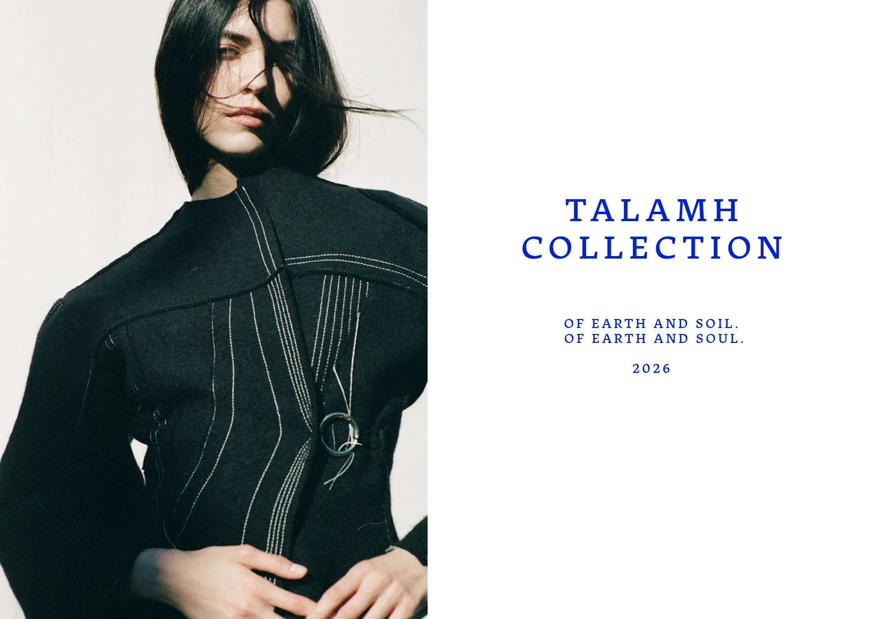 Talamh website - launch 2.jpg