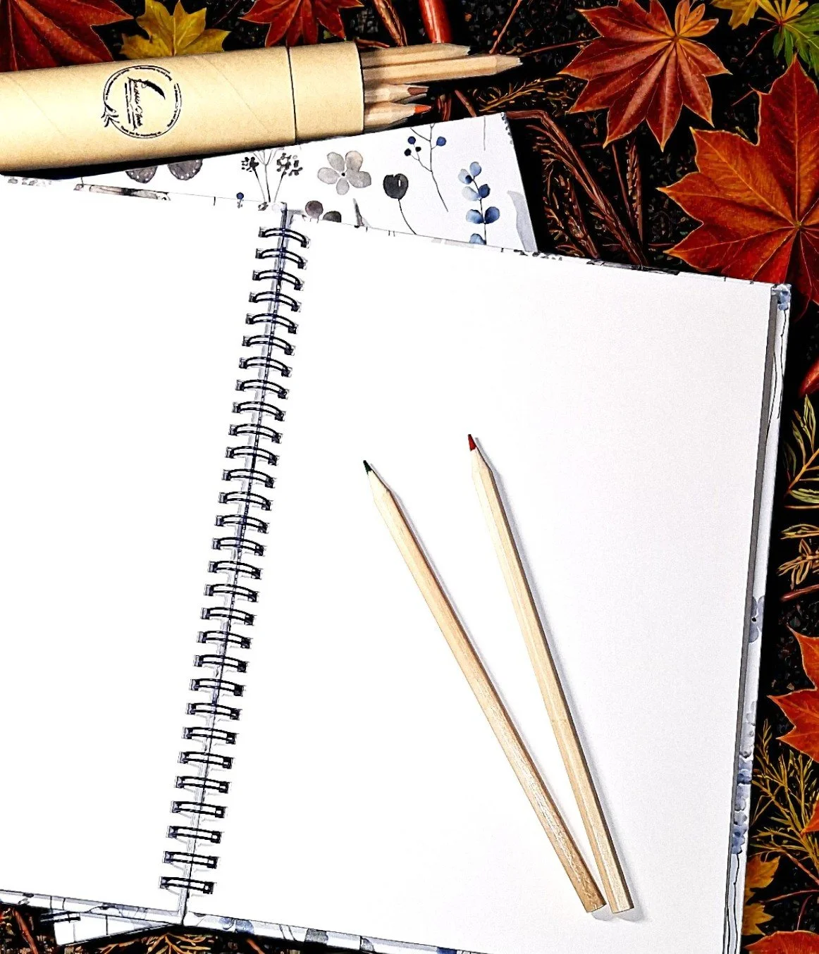 content II_113025.jpg