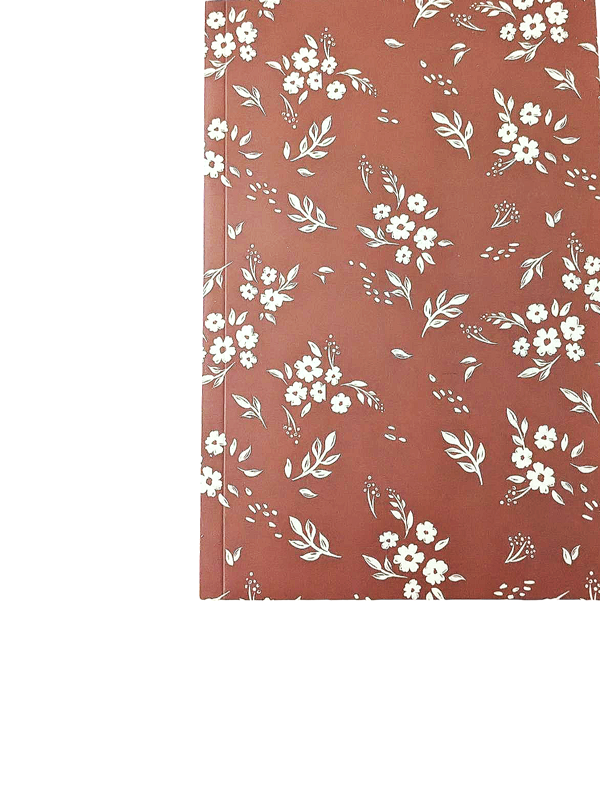 Photoroom-20241204_212334.png