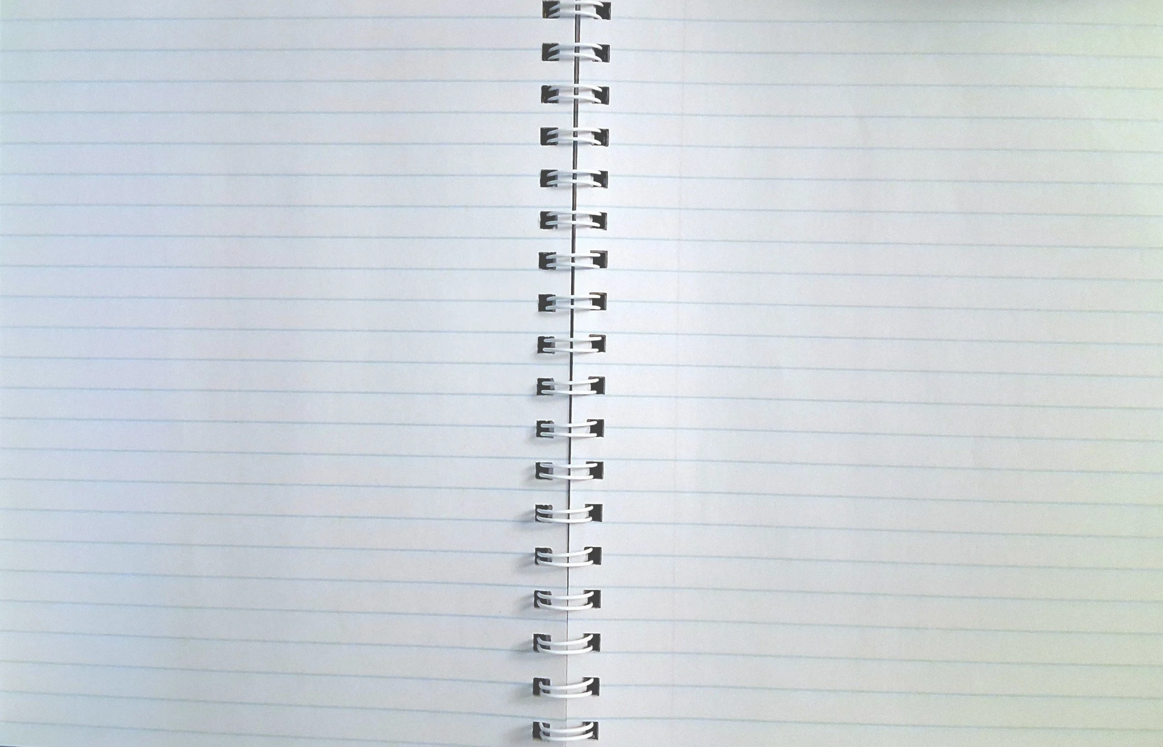 open ruled pages.jpeg