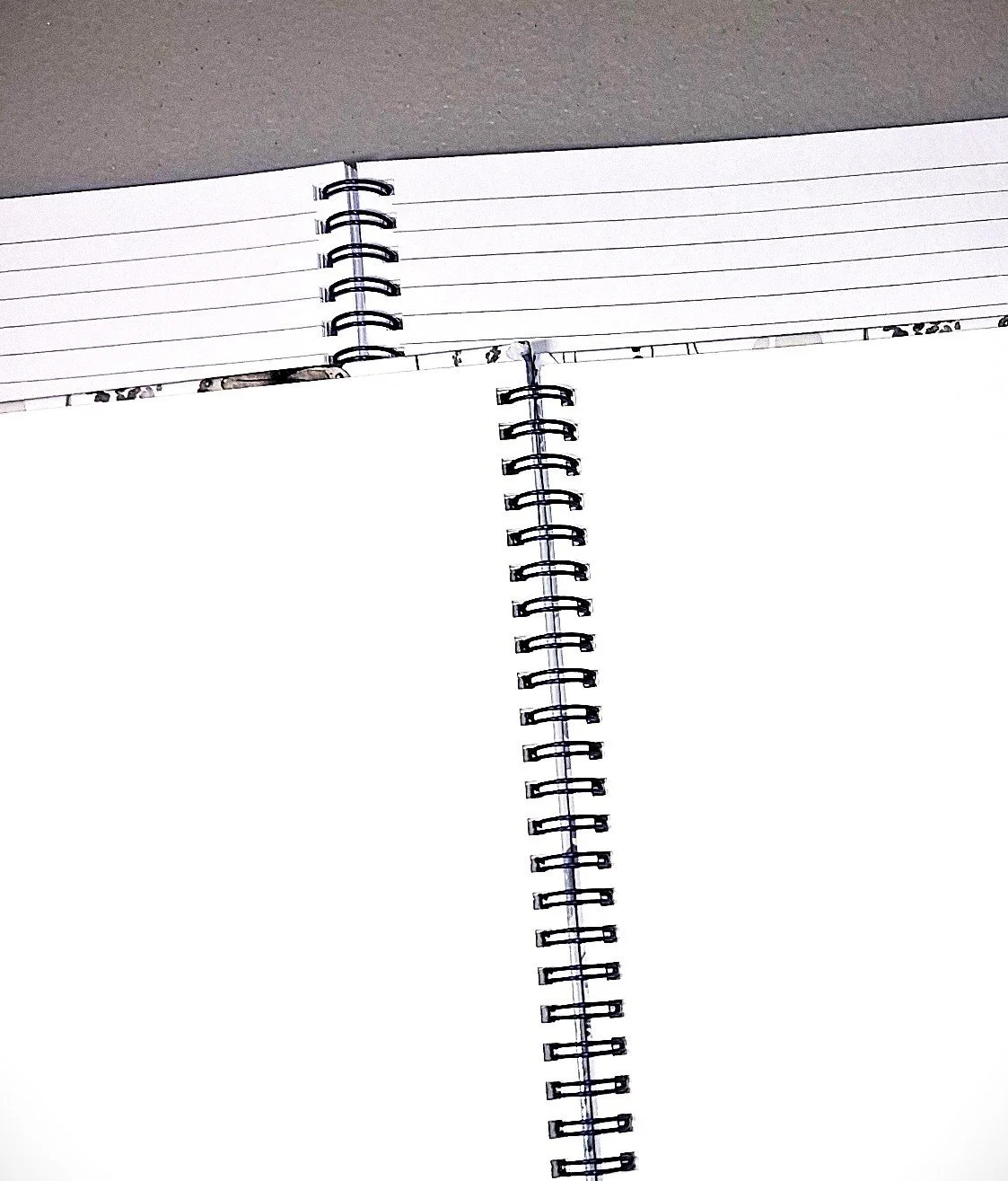 both open 113025.jpg