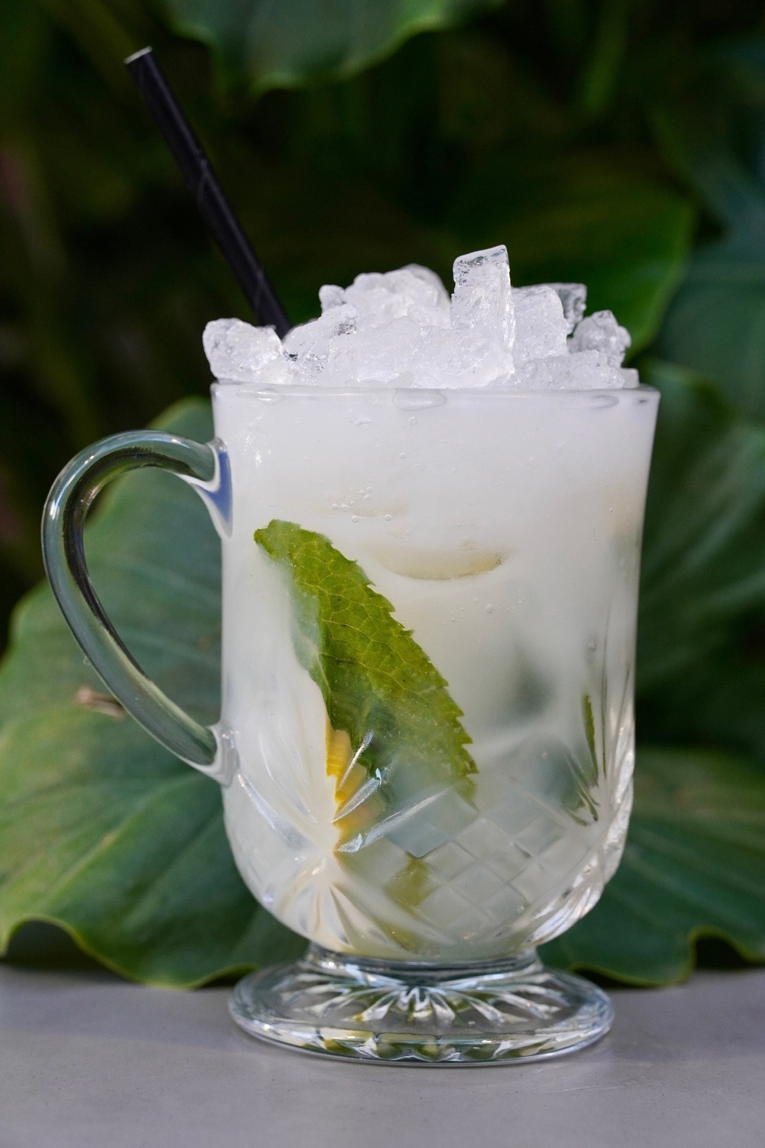 A clear glass mug filled with a light-colored drink with ice and lime slices, with a black straw, set against a leafy green background.