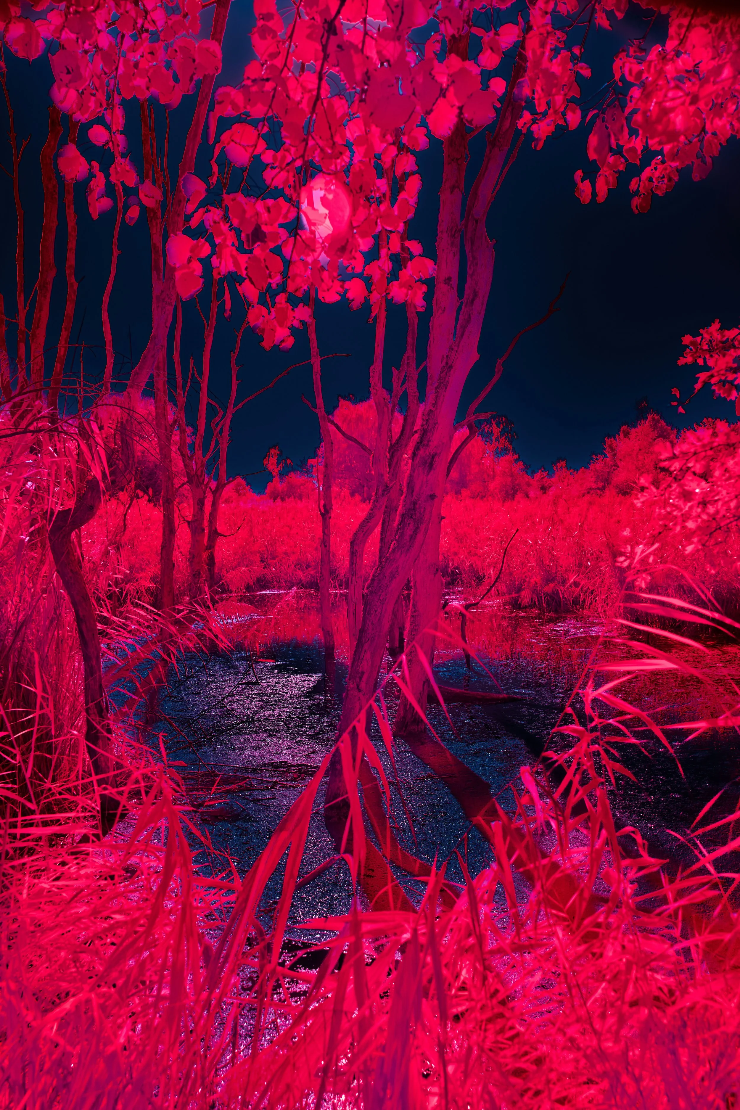 Embrace Your Majesty: The Power of Regaining Self-Worth