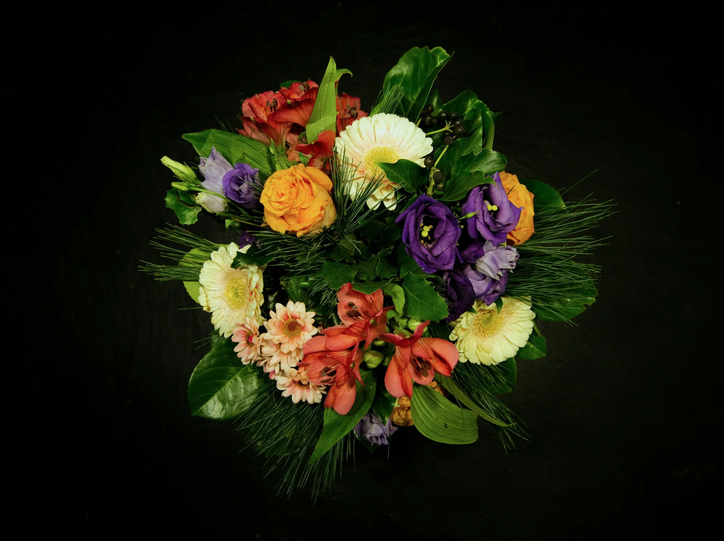 A Rising Phoenix: The Sun Within Me