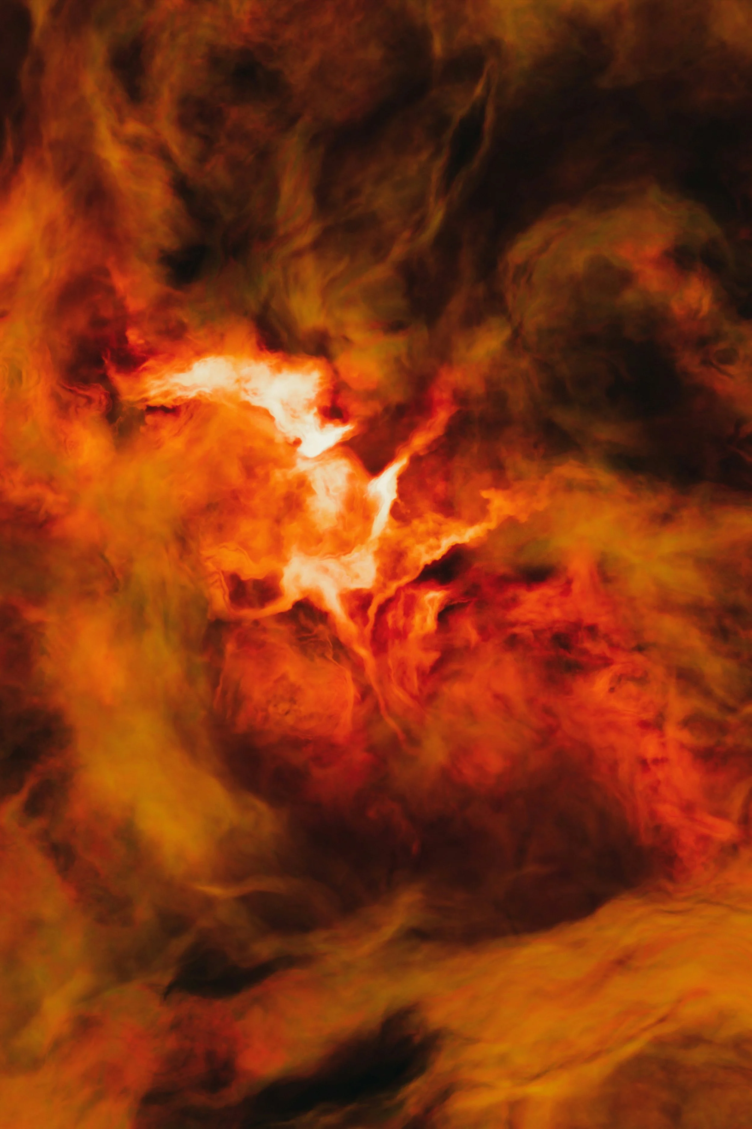 Falling Forward Into the Woman I Was Always Becoming