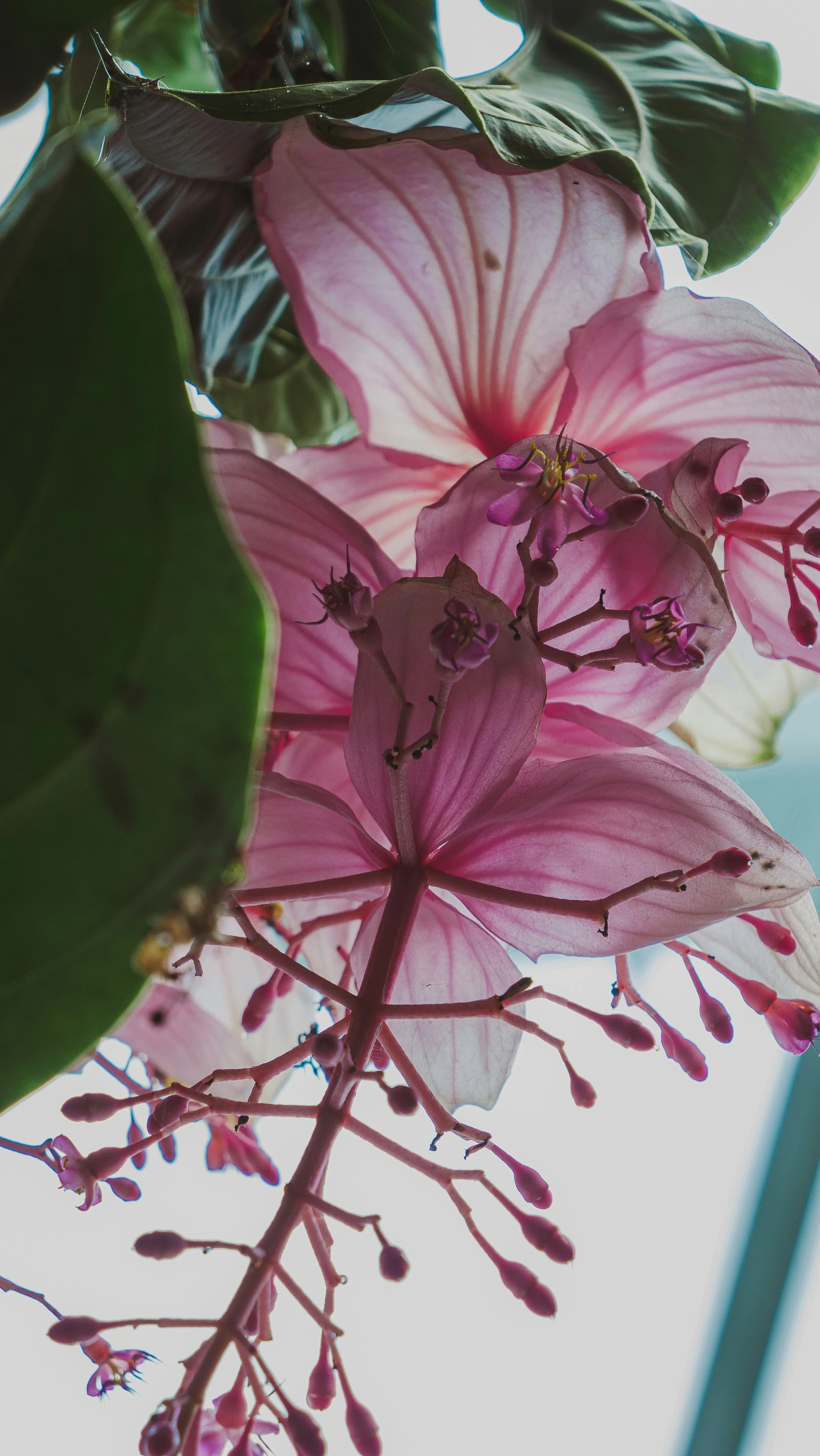 The Year That Recognized Me on Sight