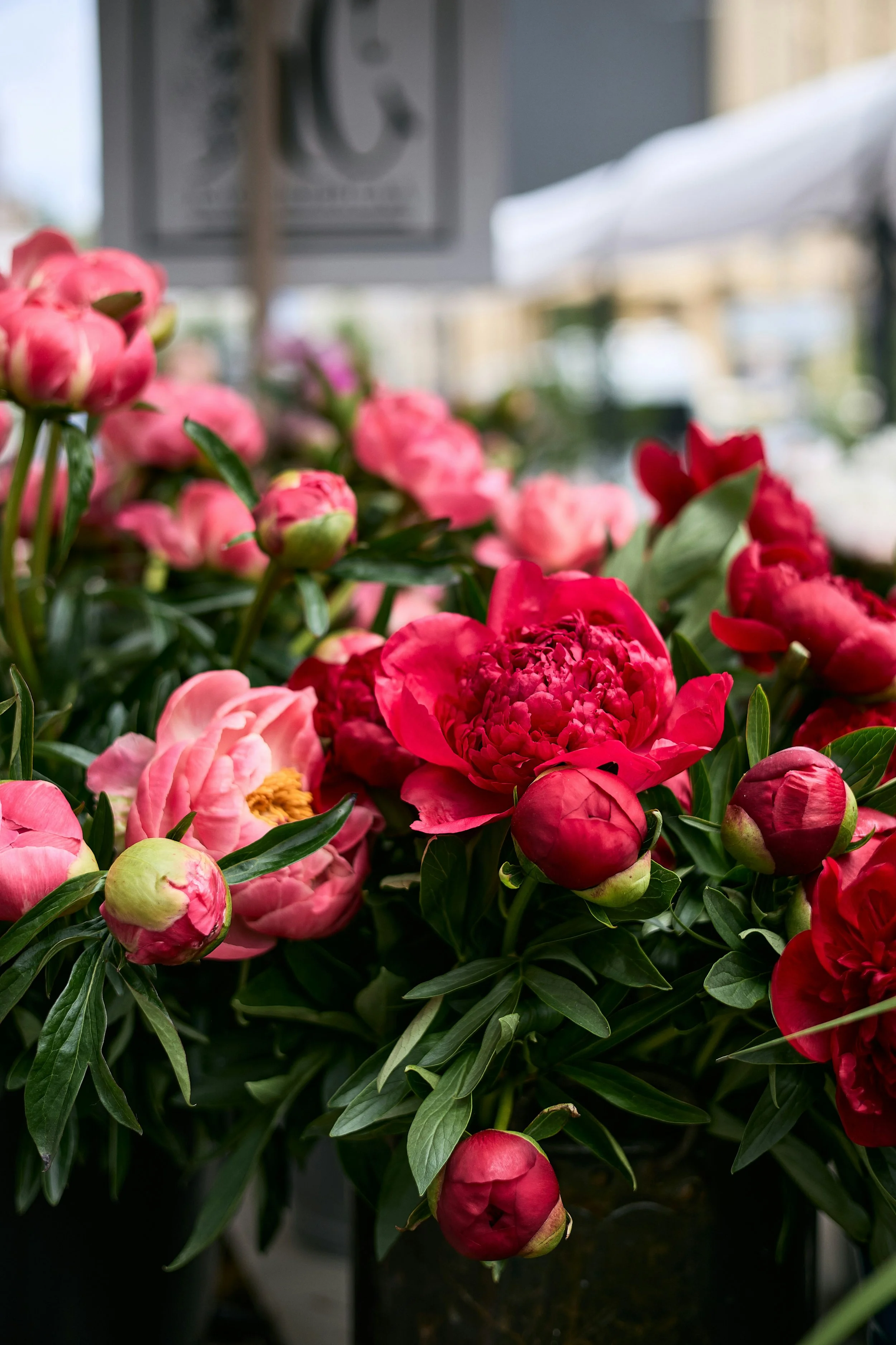 Obituary for What No Longer Belongs to Me