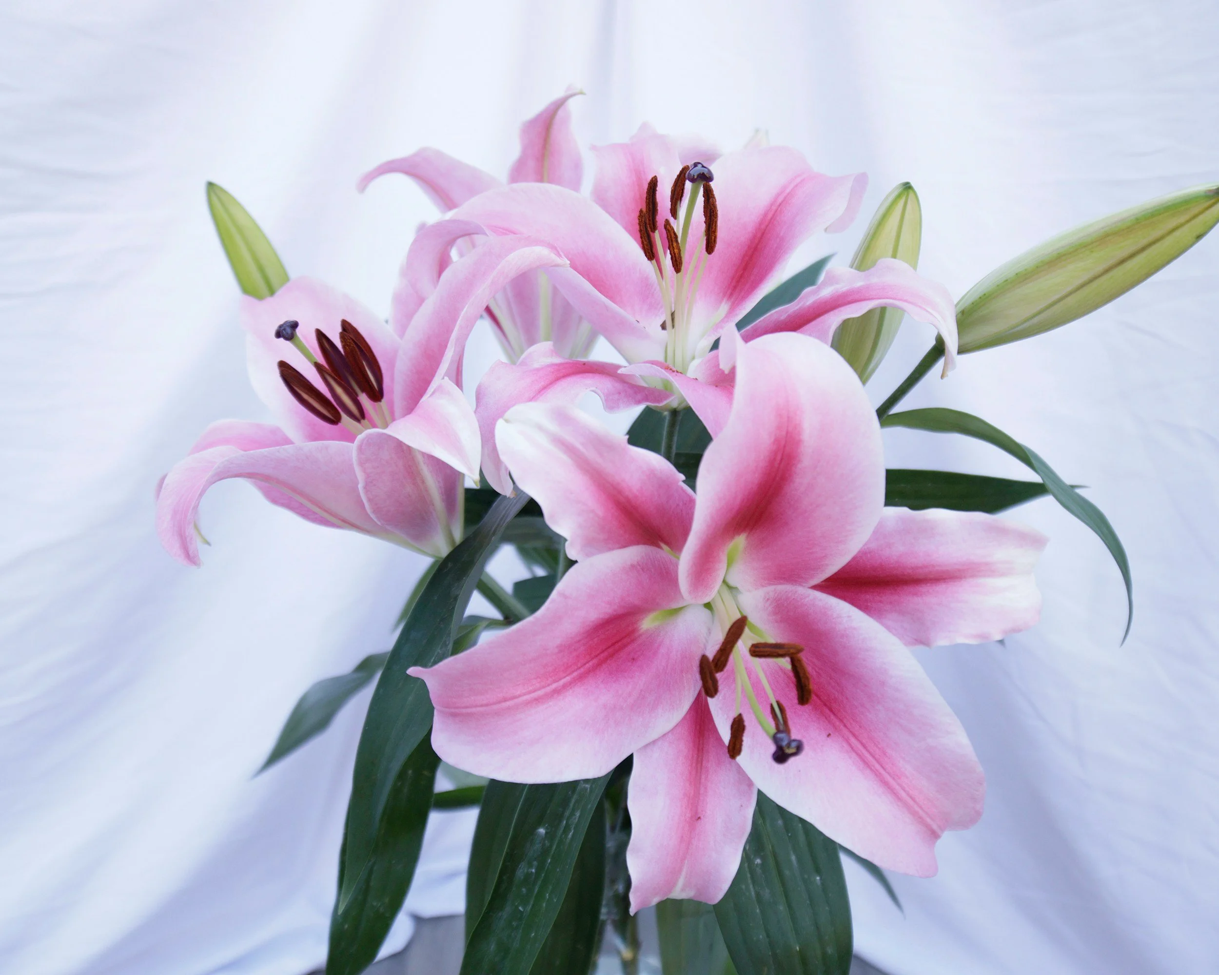  Where I Go When the World Goes Quiet