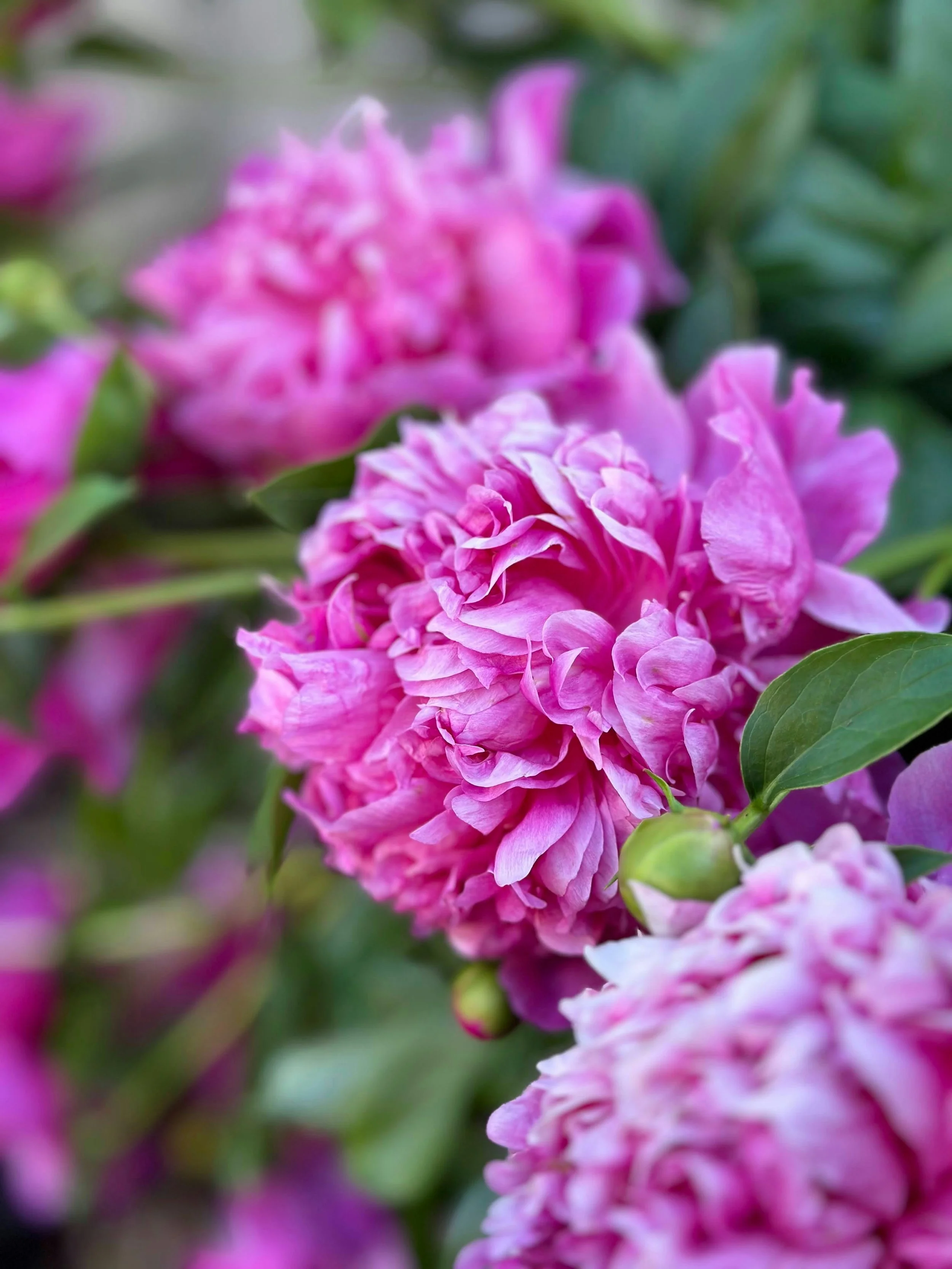 Staying Devoted—to the Work, to the Body, to the Wave