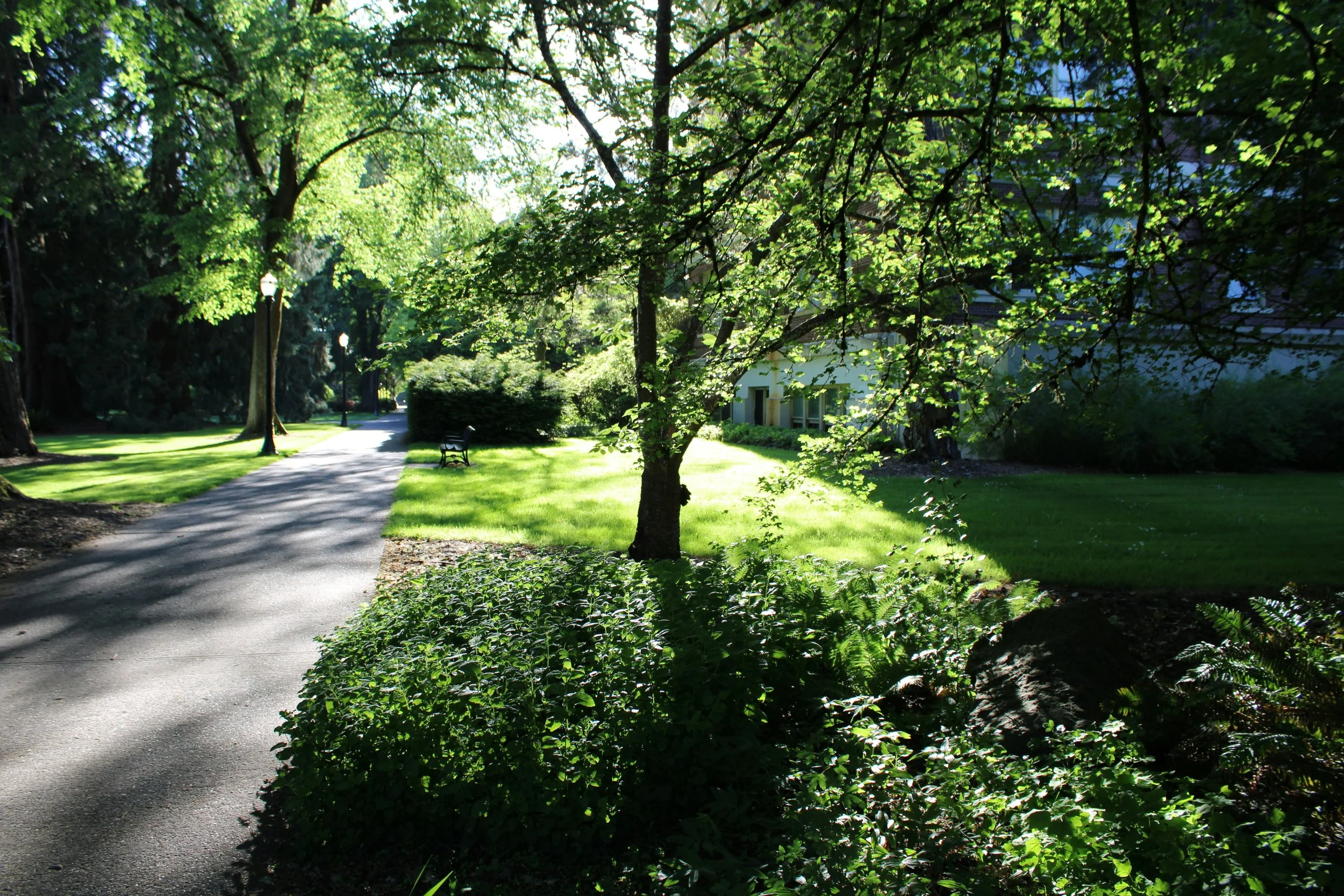 The Glamour of Listening