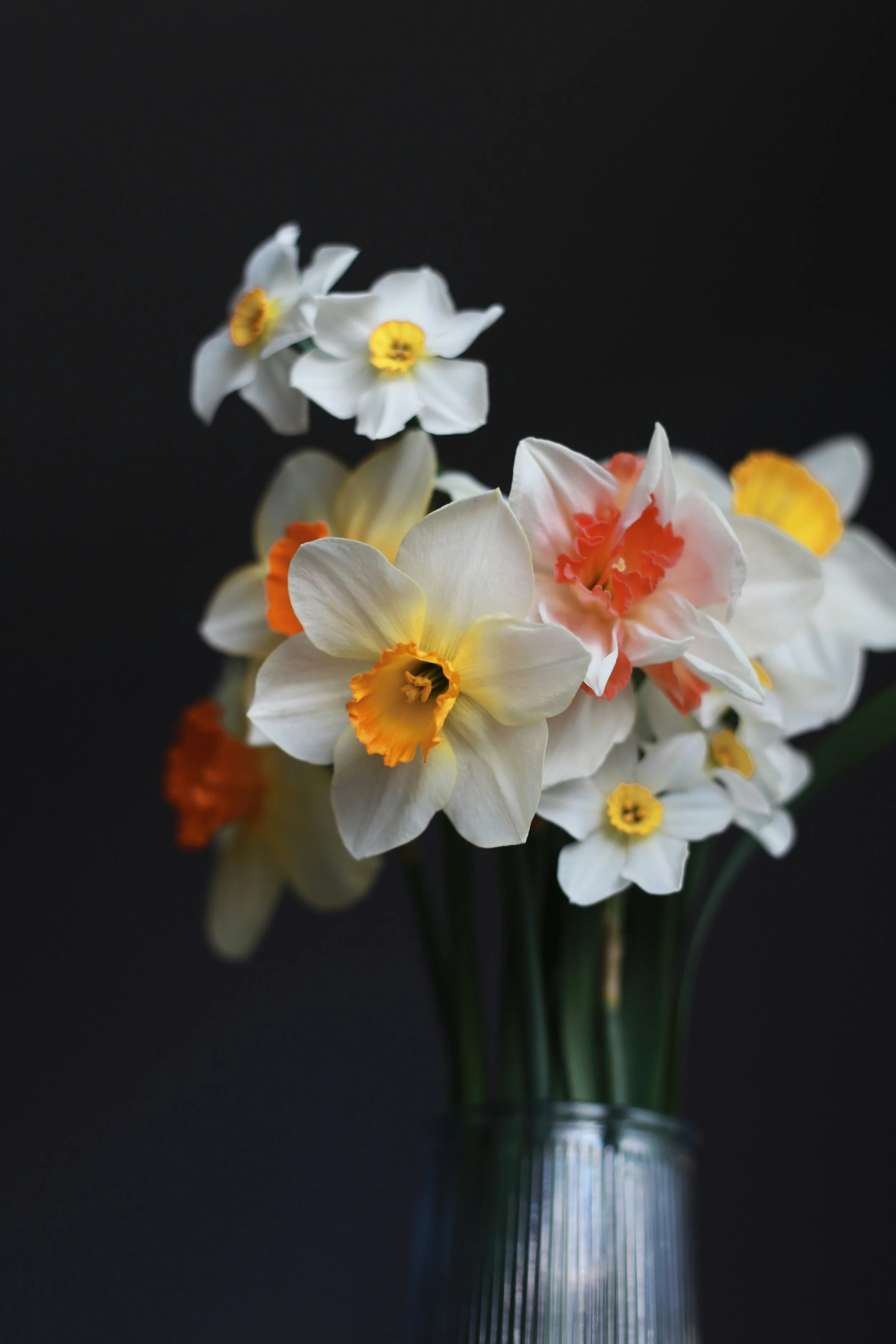 Where Laughter Lives Now