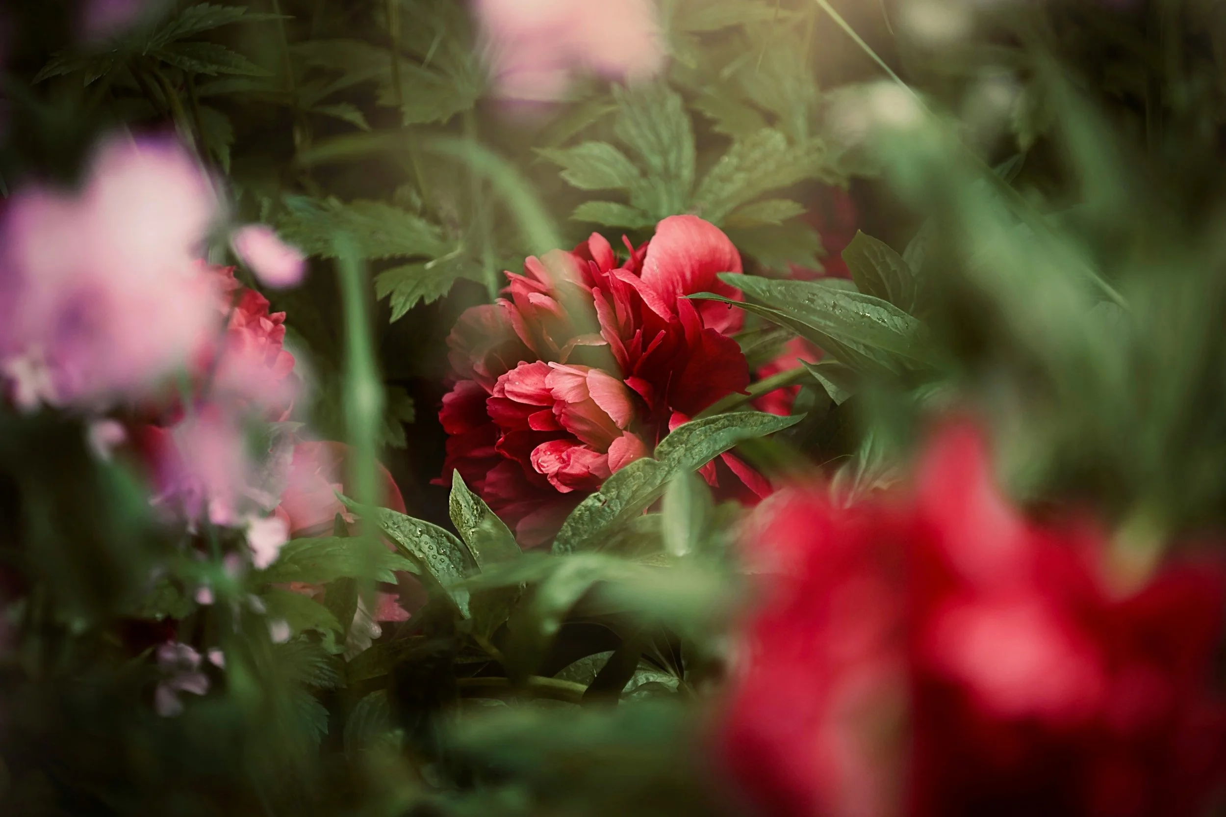 On Being Seen—and Moving Forward