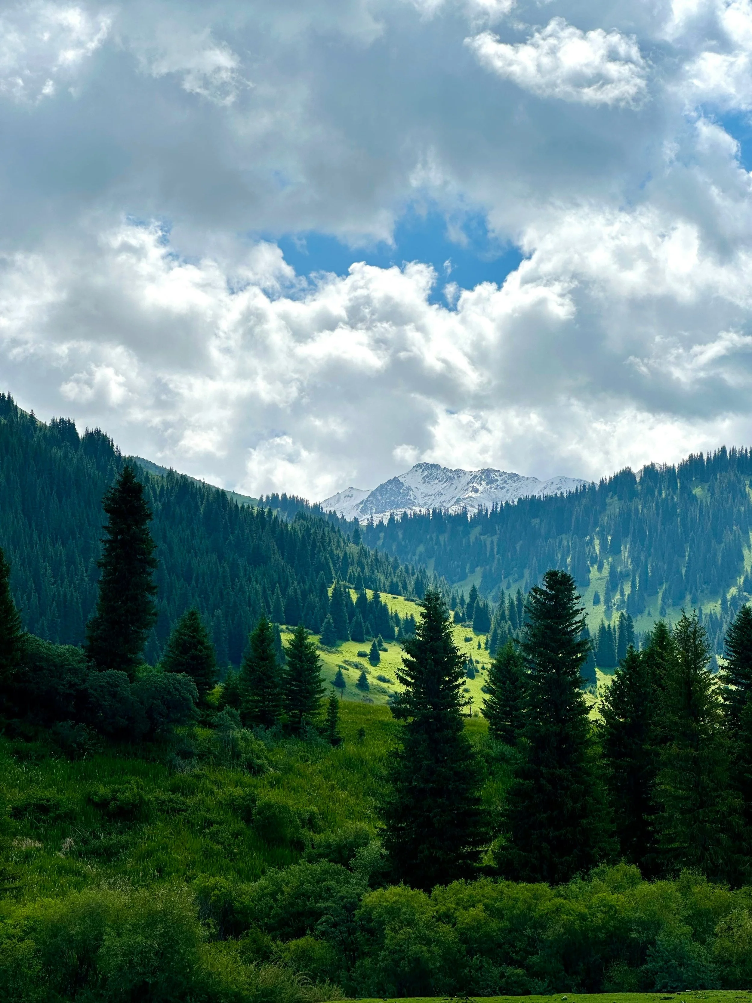 The Sacred Discipline of Choosing Myself