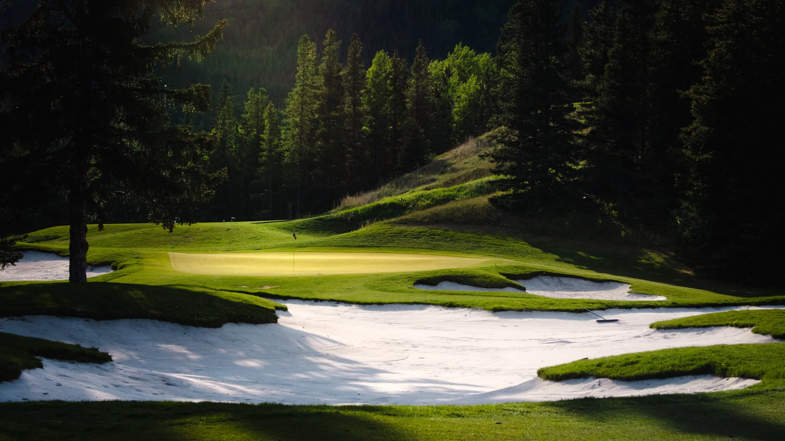 A golf course with green grass, a flag on the putting green, surrounded by sand bunkers, and tall trees in the background.