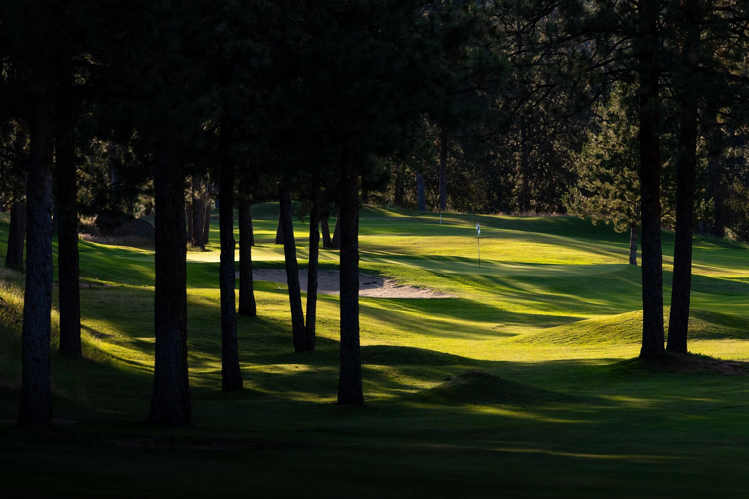 A golf course viewed through tall trees with a flagstick on the green and sand traps nearby, illuminated by sunlight.