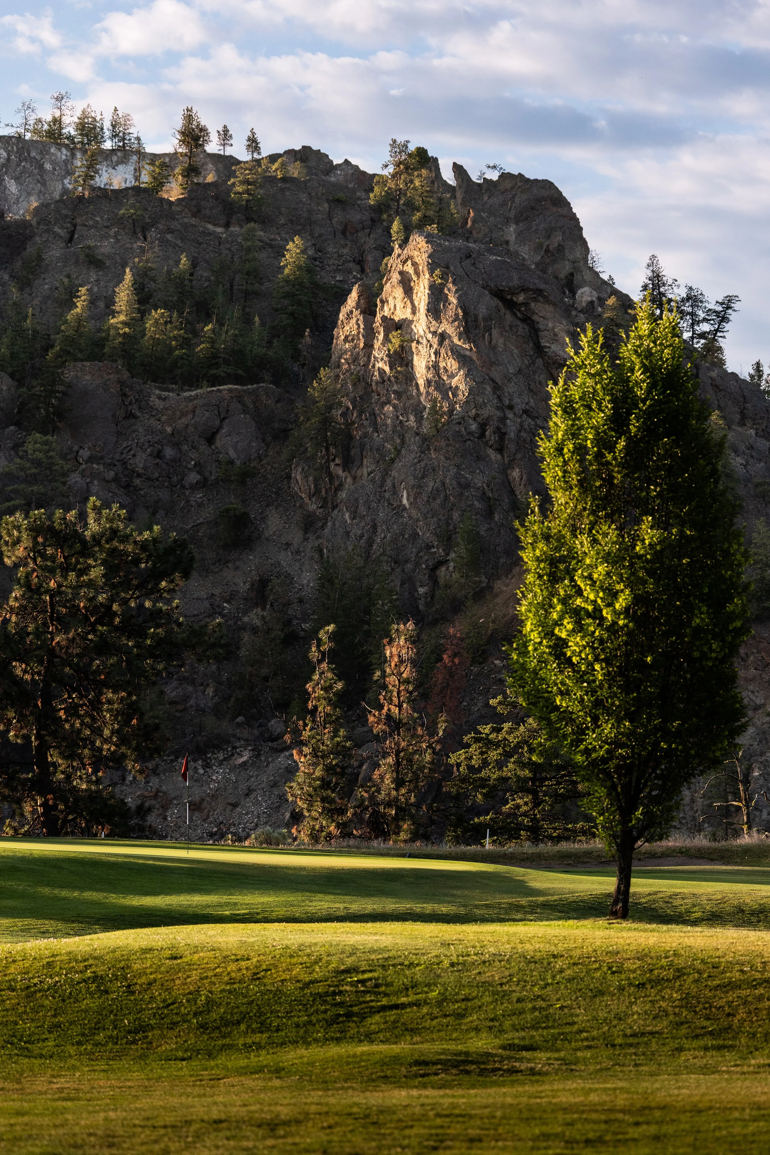 Summerland_Detail_05.jpg