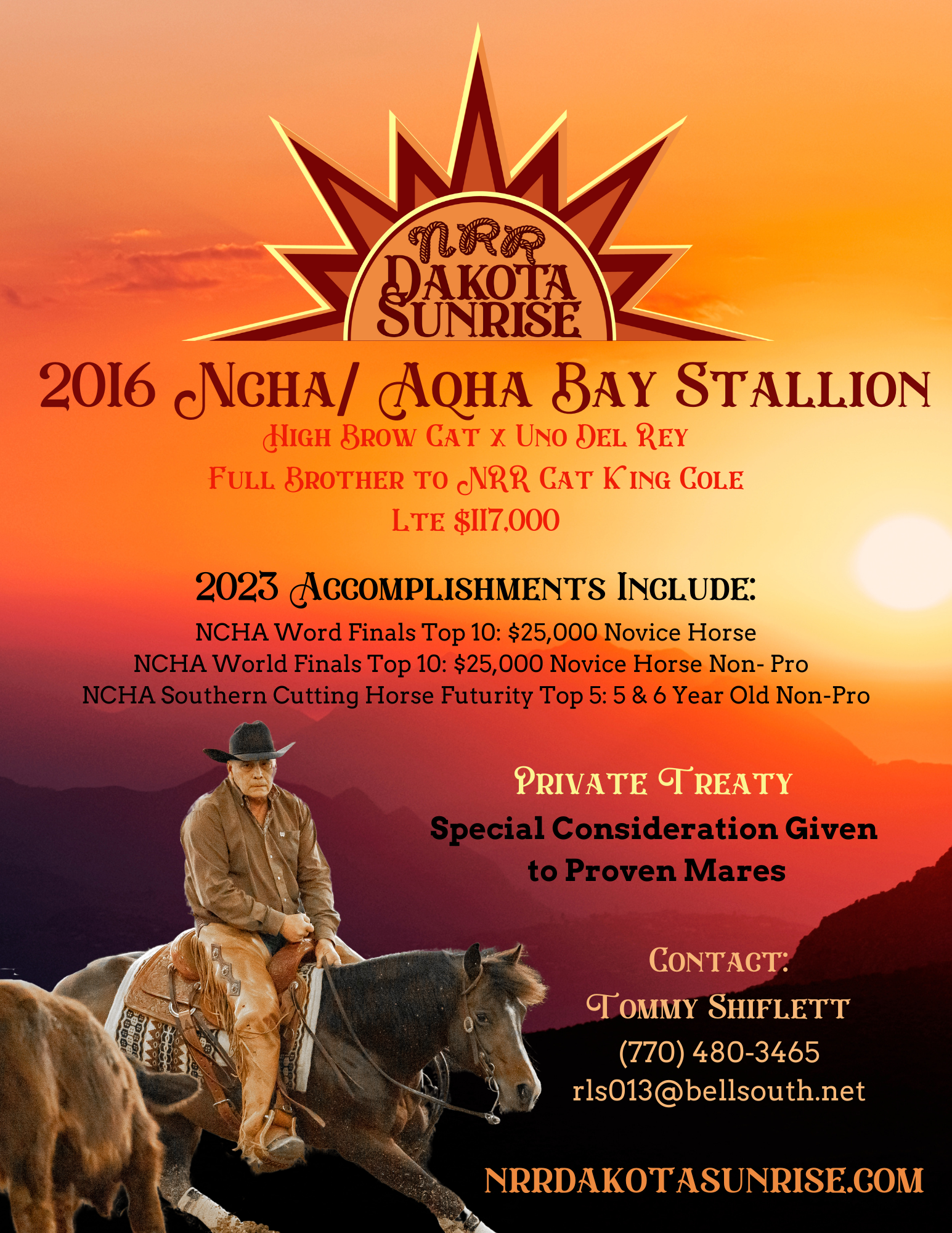 NRR Flyer.png