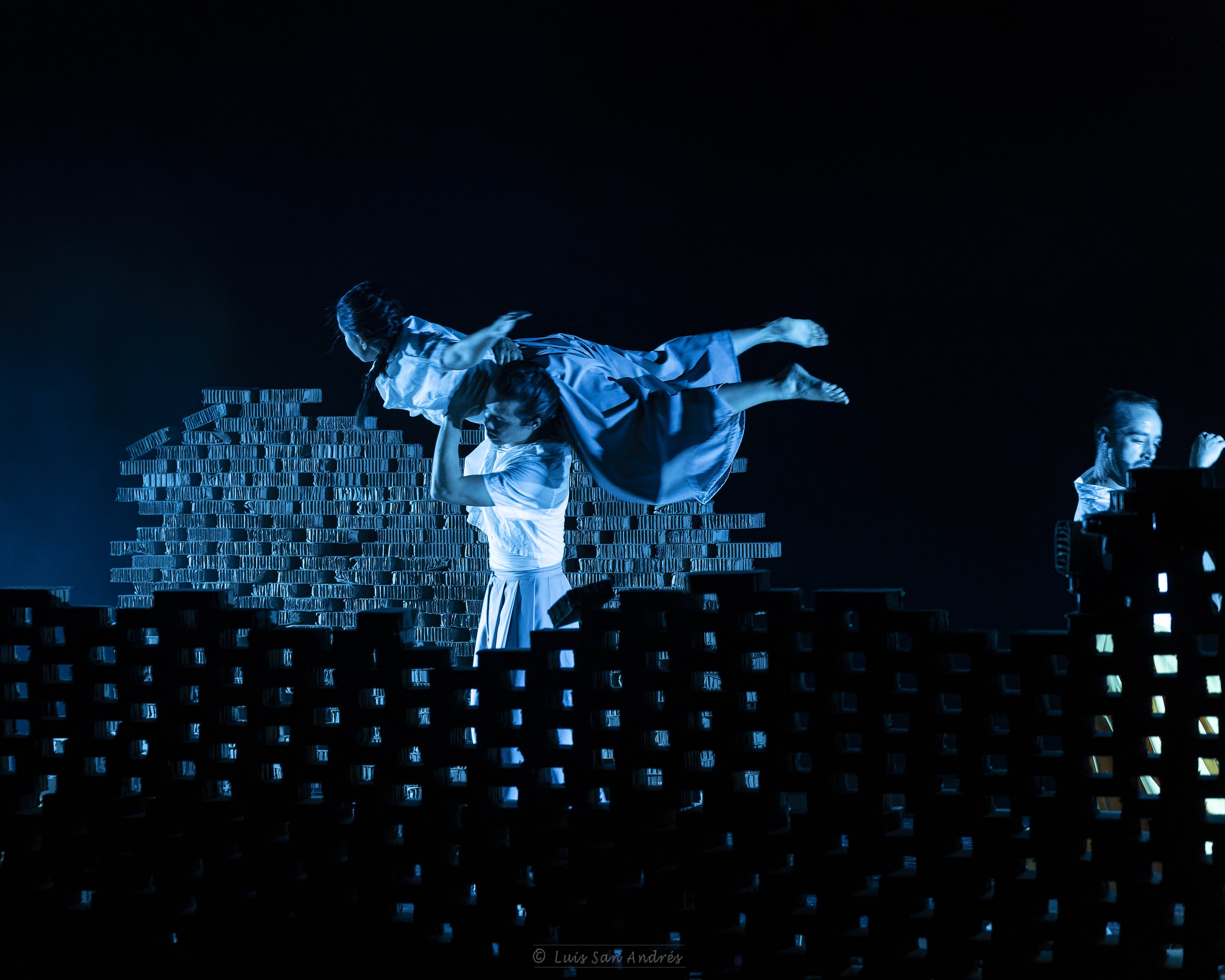 Dansa29 de octubre de 20230027-CR3_DxO_DeepPRIME copia.jpg