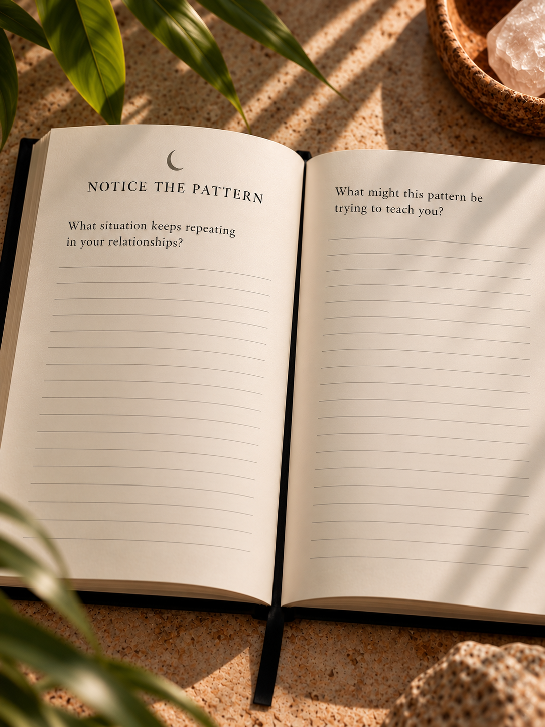 Mindful Journal in Warm Sunlight.png