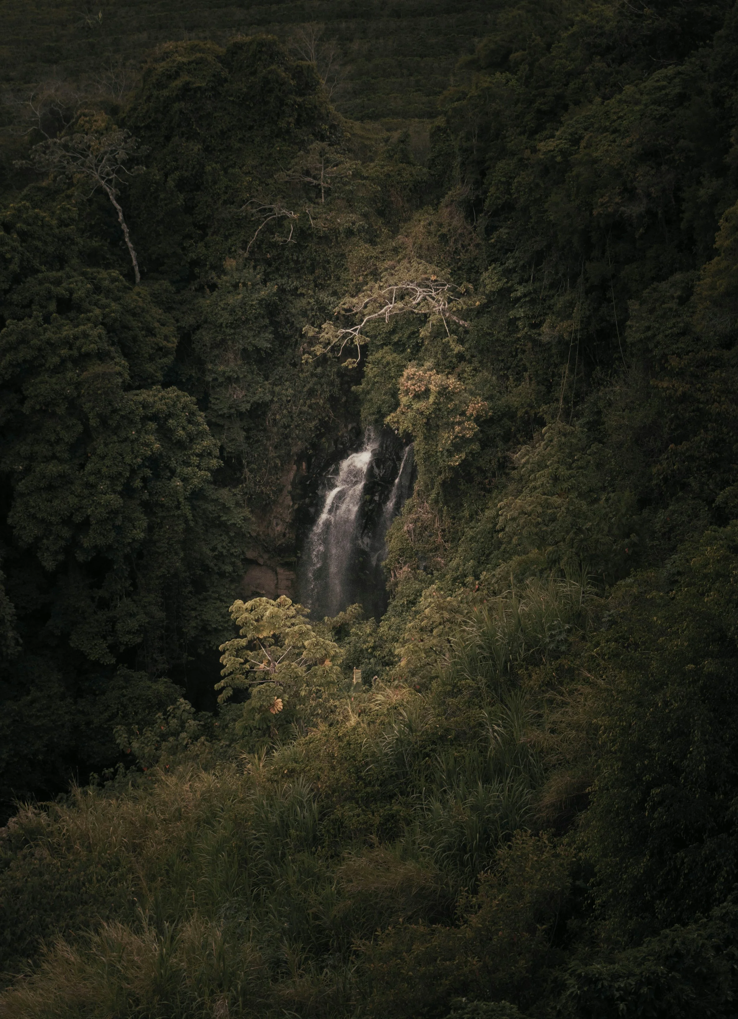 kevin-rodriguez-xhauh90AwJ0-unsplash.jpg