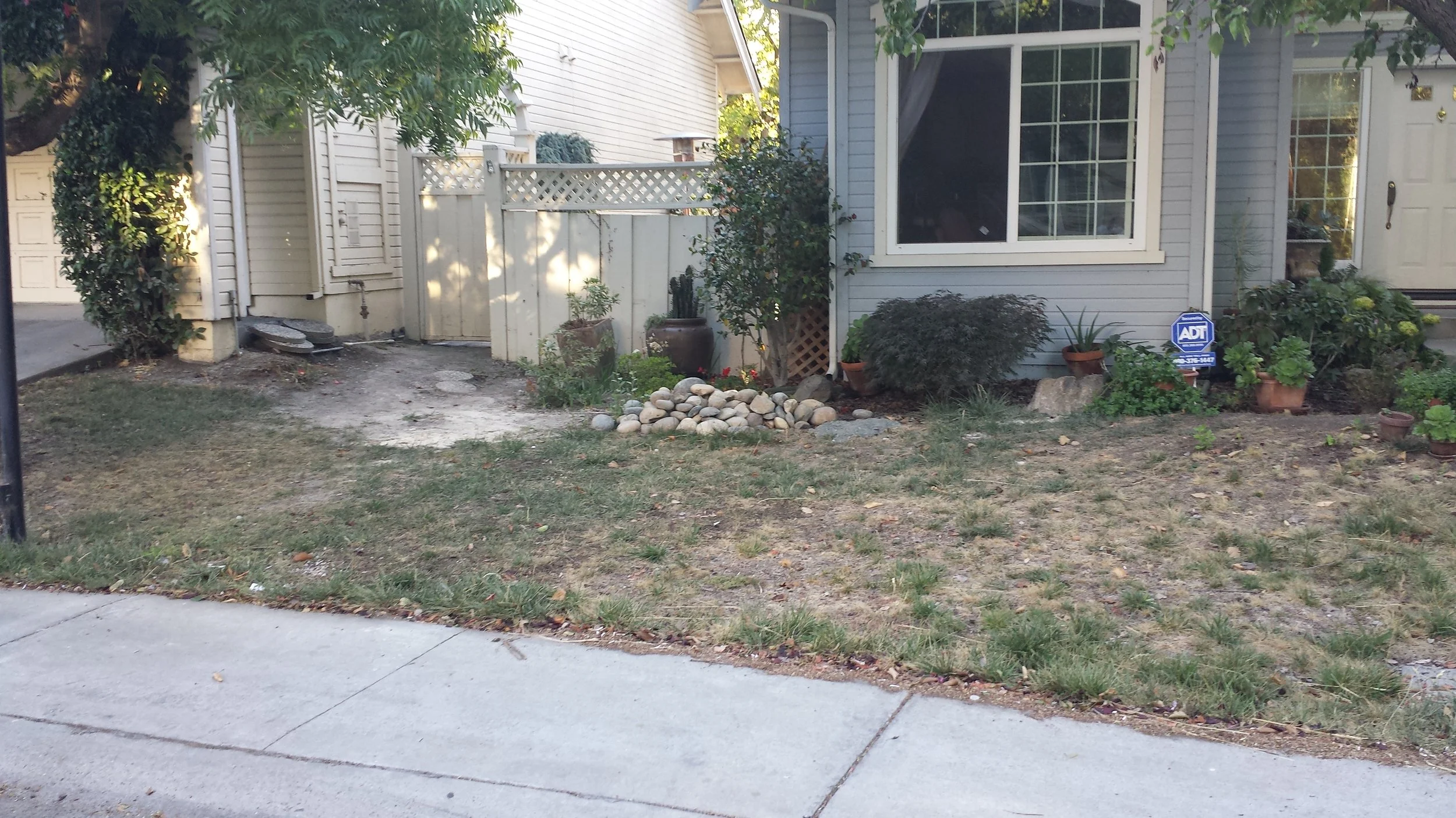 Vida1 - Before planting1.jpg