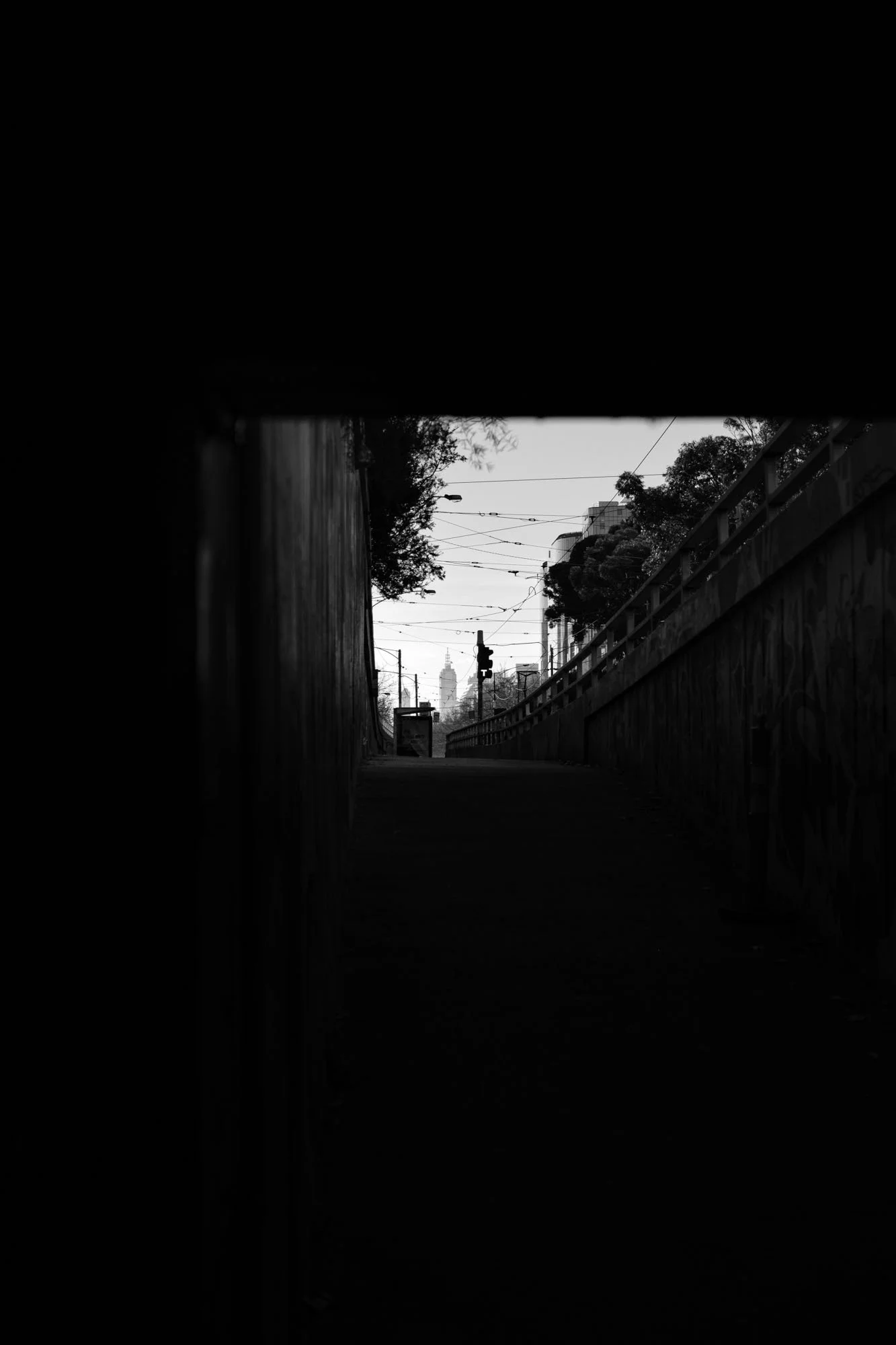 DSCF0560.jpg