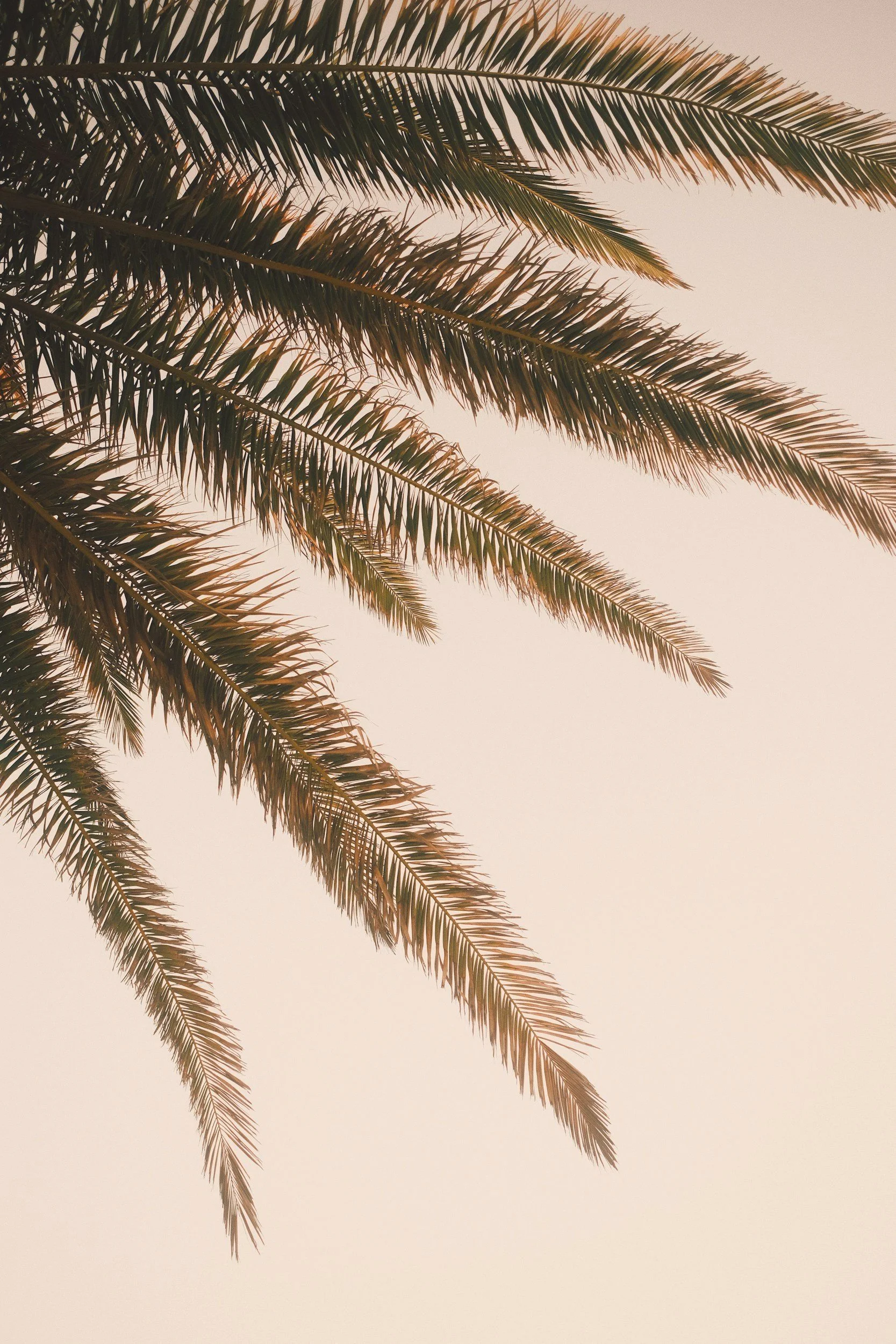 unsplash-image-zMwxD1cp-Gk.jpg
