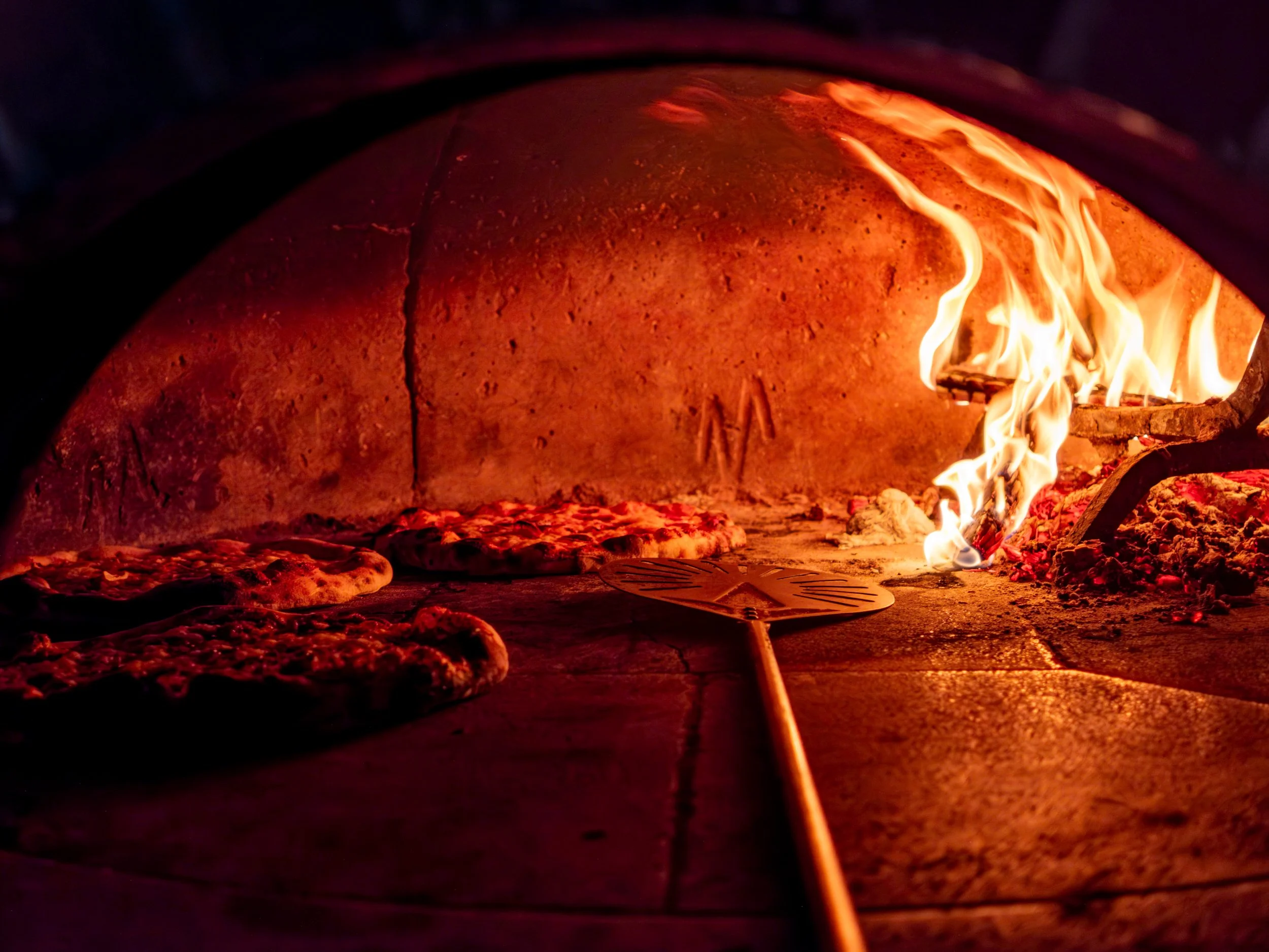 “Weekly” Newsletter #2: We’re Back (and it wasn’t weekly)